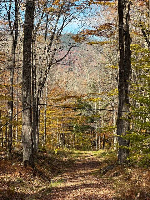 1928 VT. Rte. 131 Weathersfield VT 05030