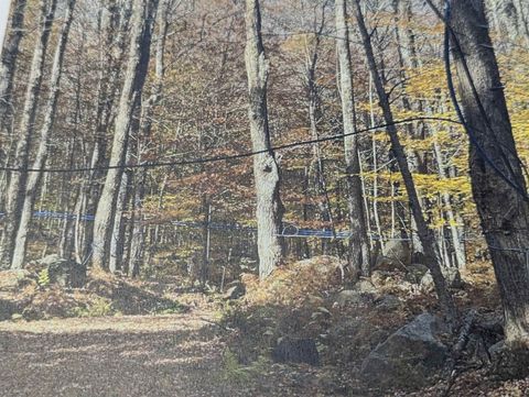 1928 VT. Rte. 131 Weathersfield VT 05030