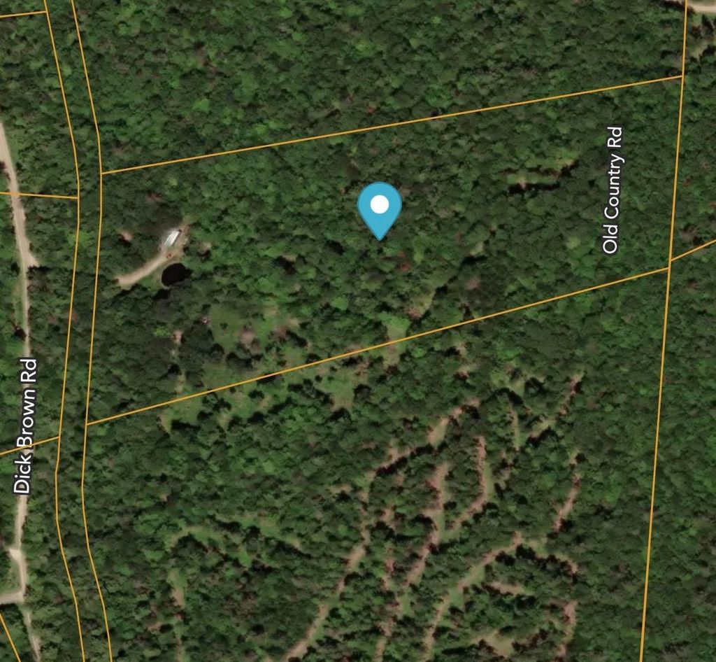 Photo of 1850 Dick Brown Road, Bridgewater, NH 03222 (MLS # 5079624)