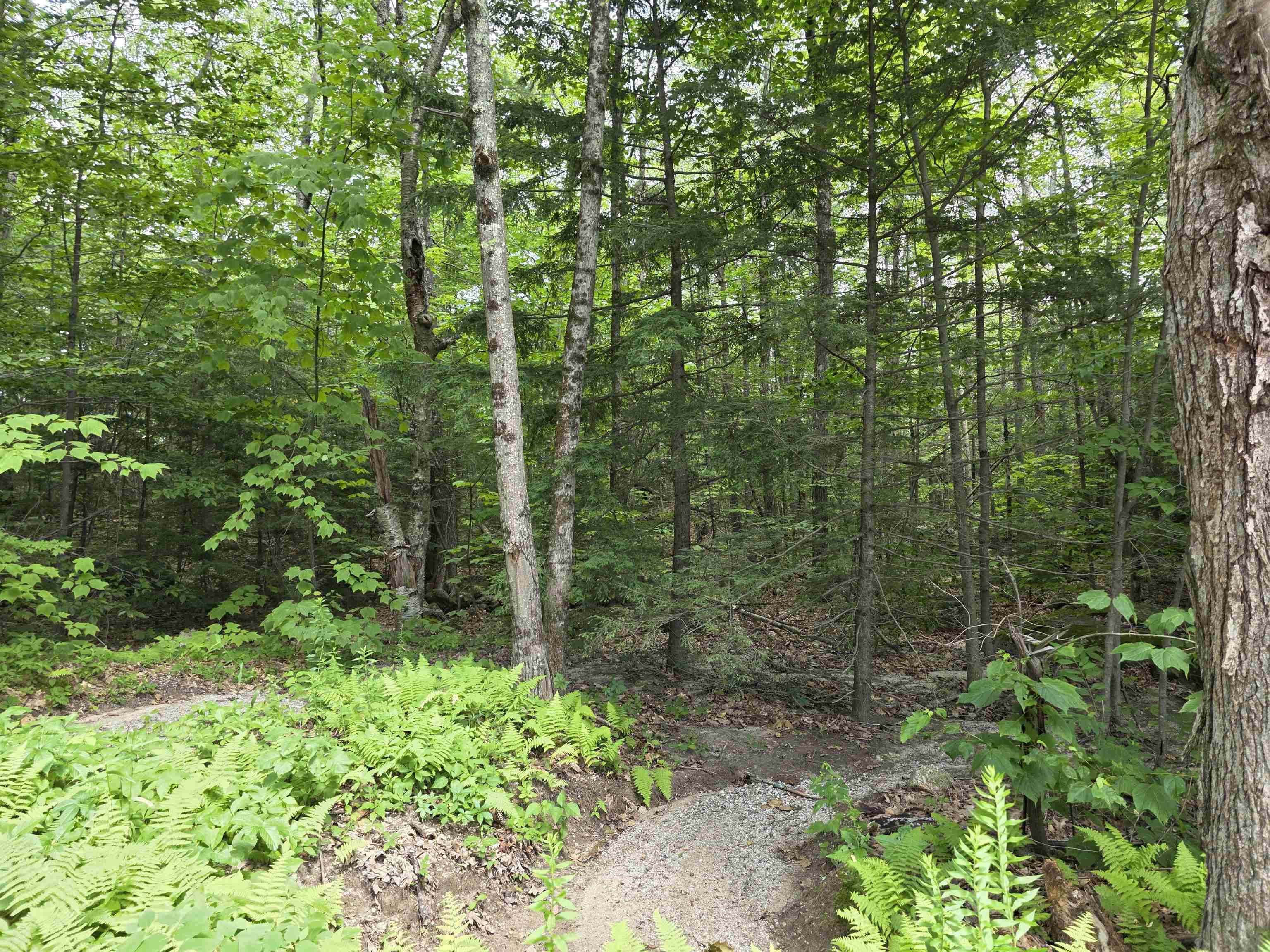 0 Reed Carr Road