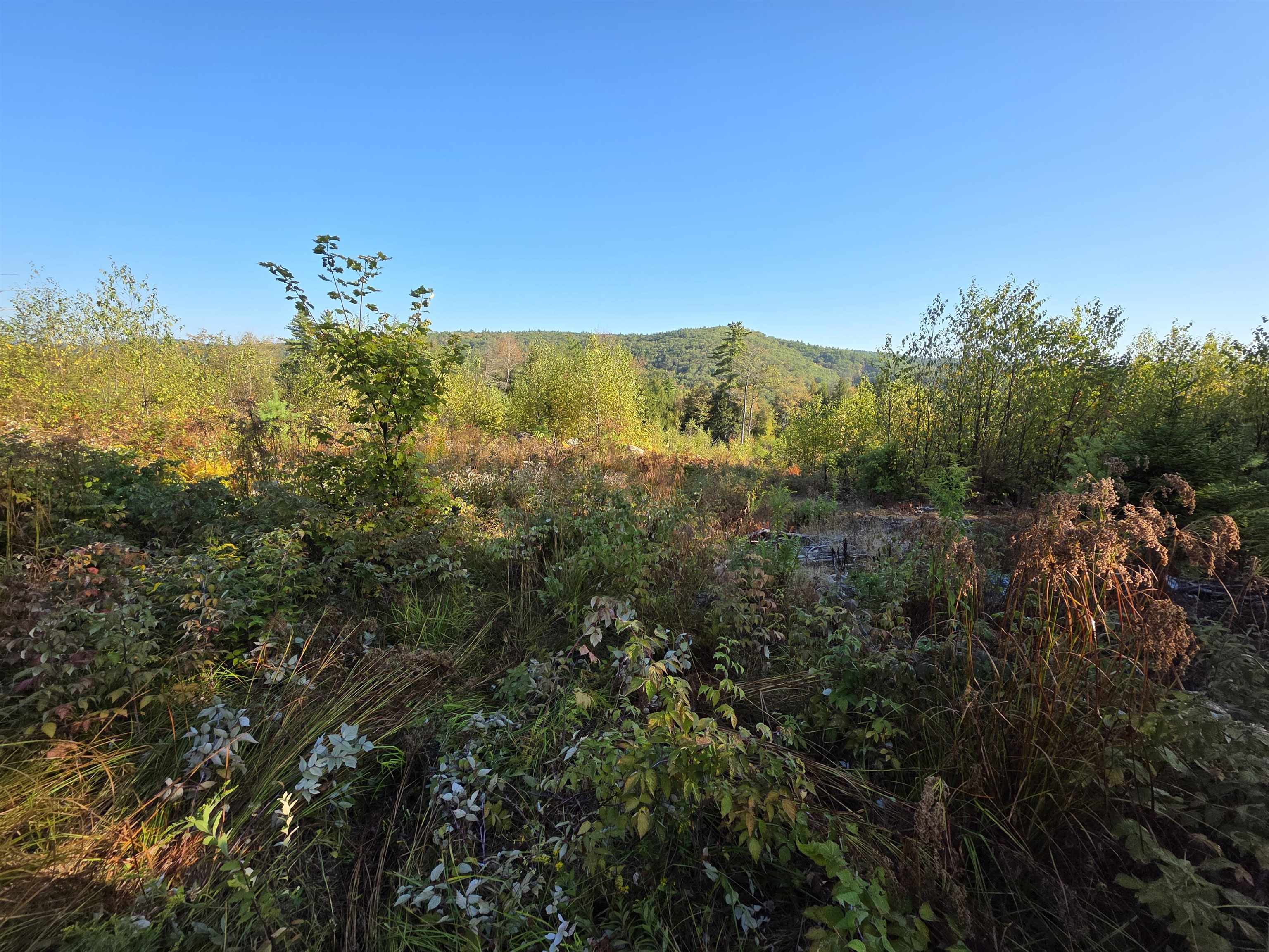 Warner, New Hampshire 03278, United States, ,Land,Active,211100