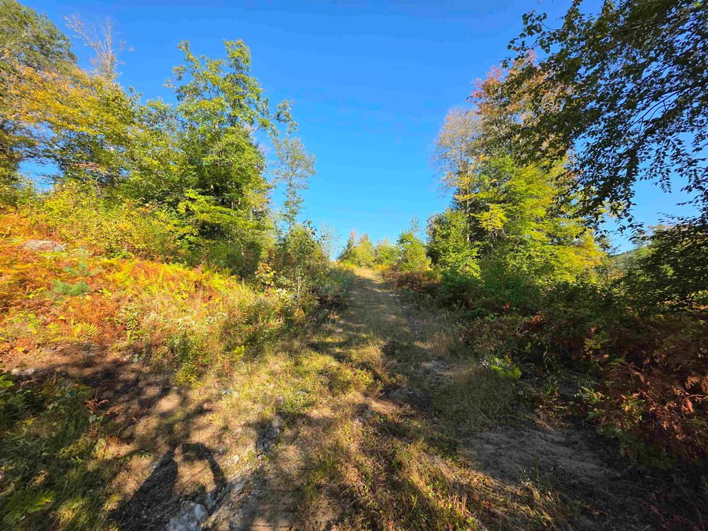 Photo of 0 NH Route 103, Warner, NH 03278 (MLS # 5061553)