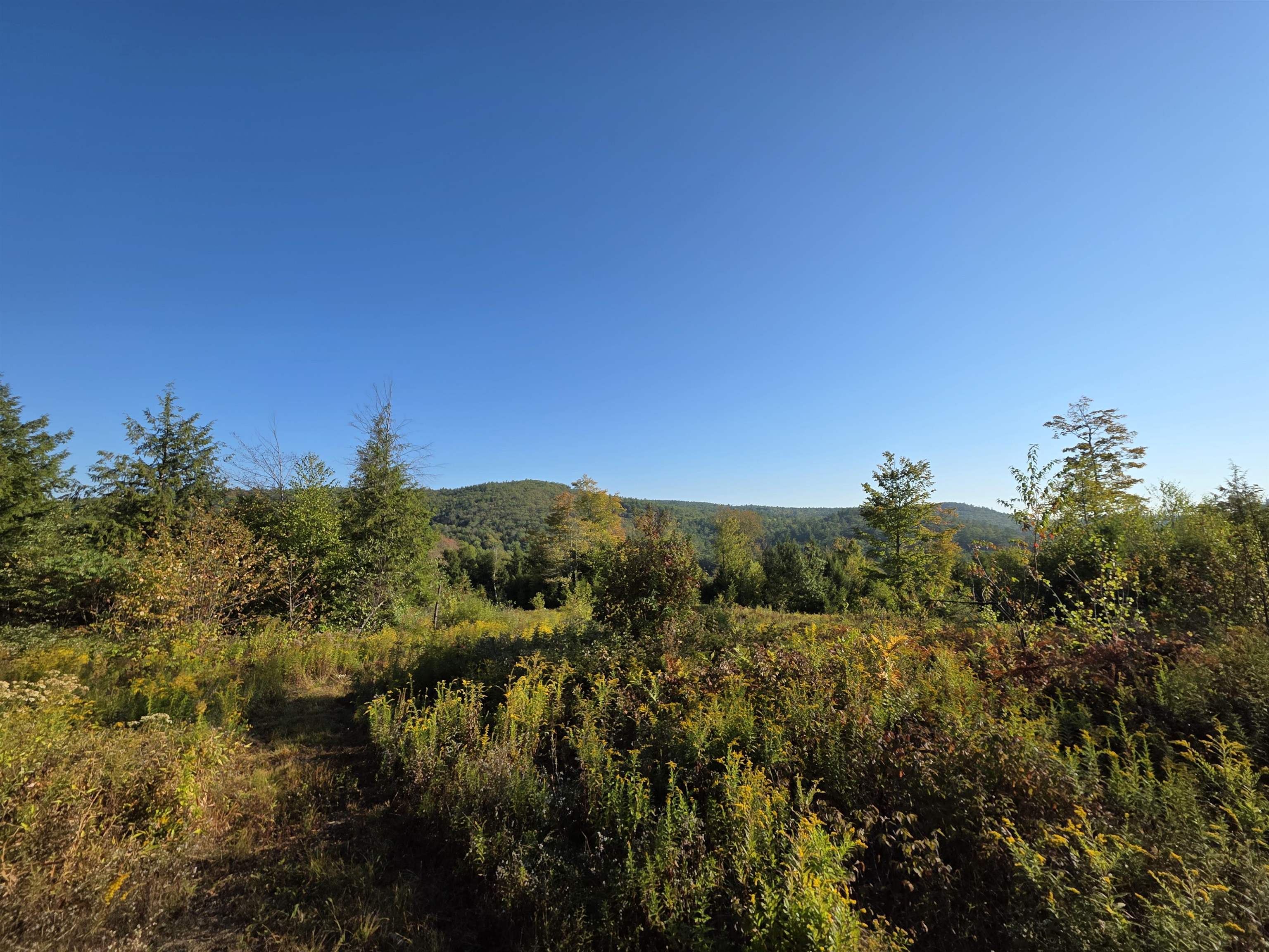 Warner, New Hampshire 03278, United States, ,Land,Active,211100