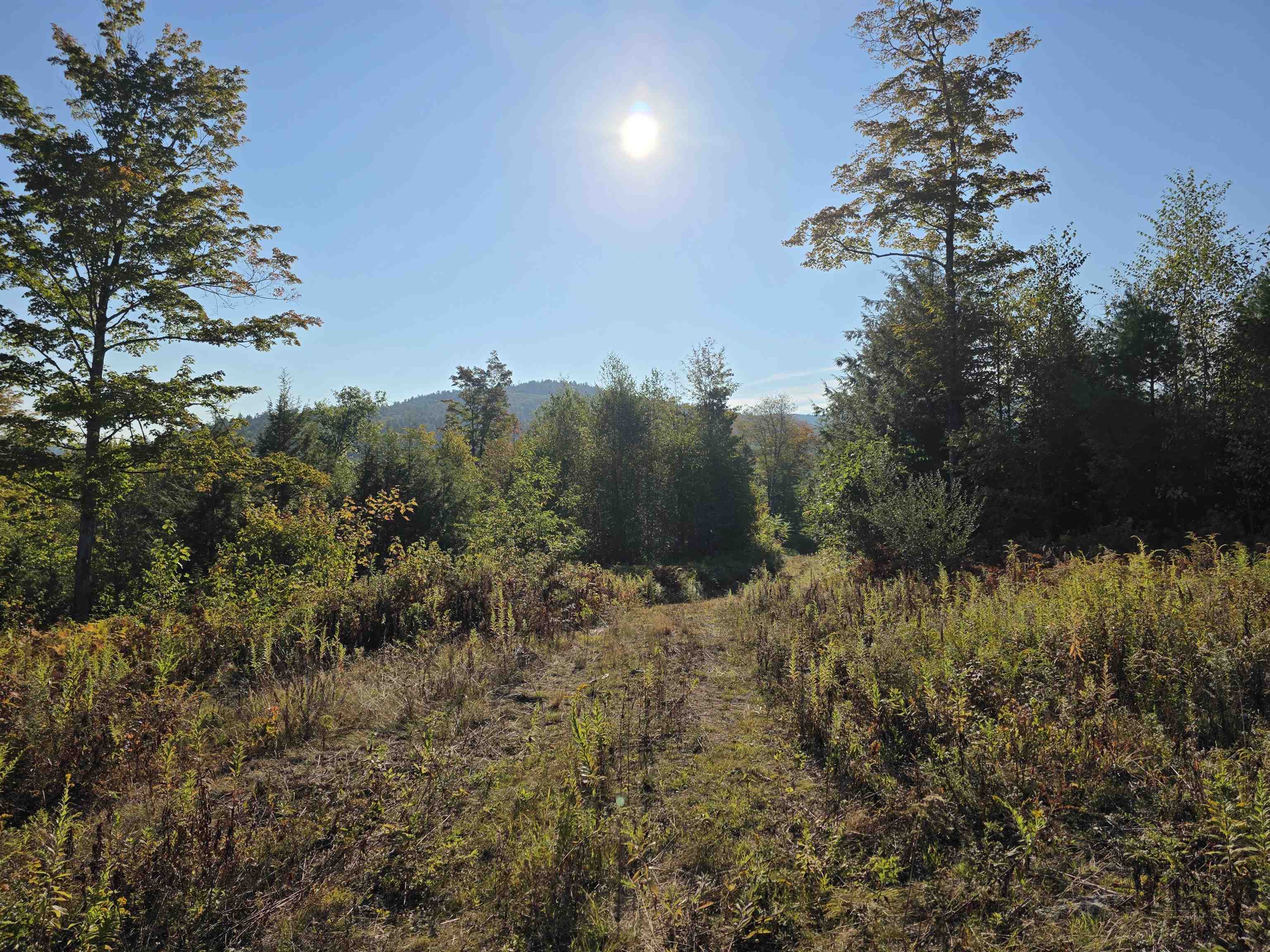 Warner, New Hampshire 03278, United States, ,Land,Active,211100