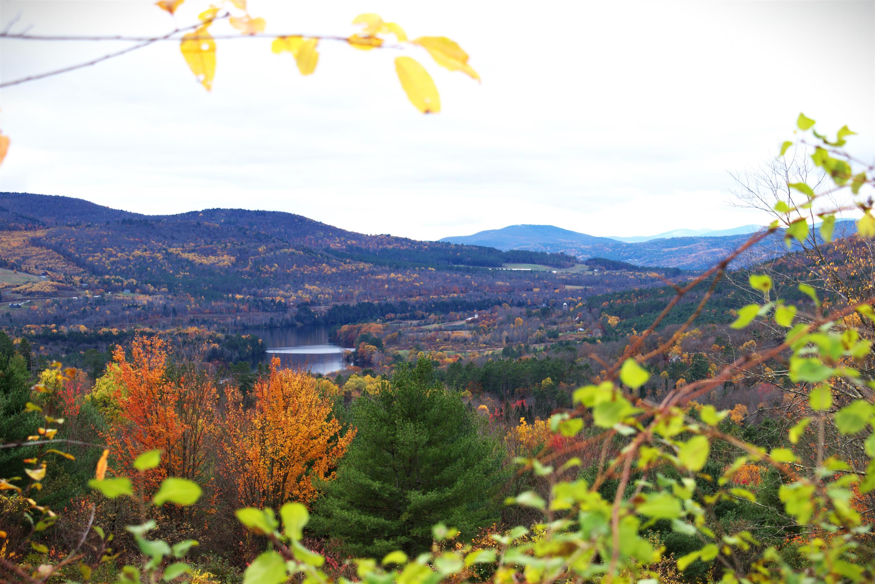 00 Old County South Road