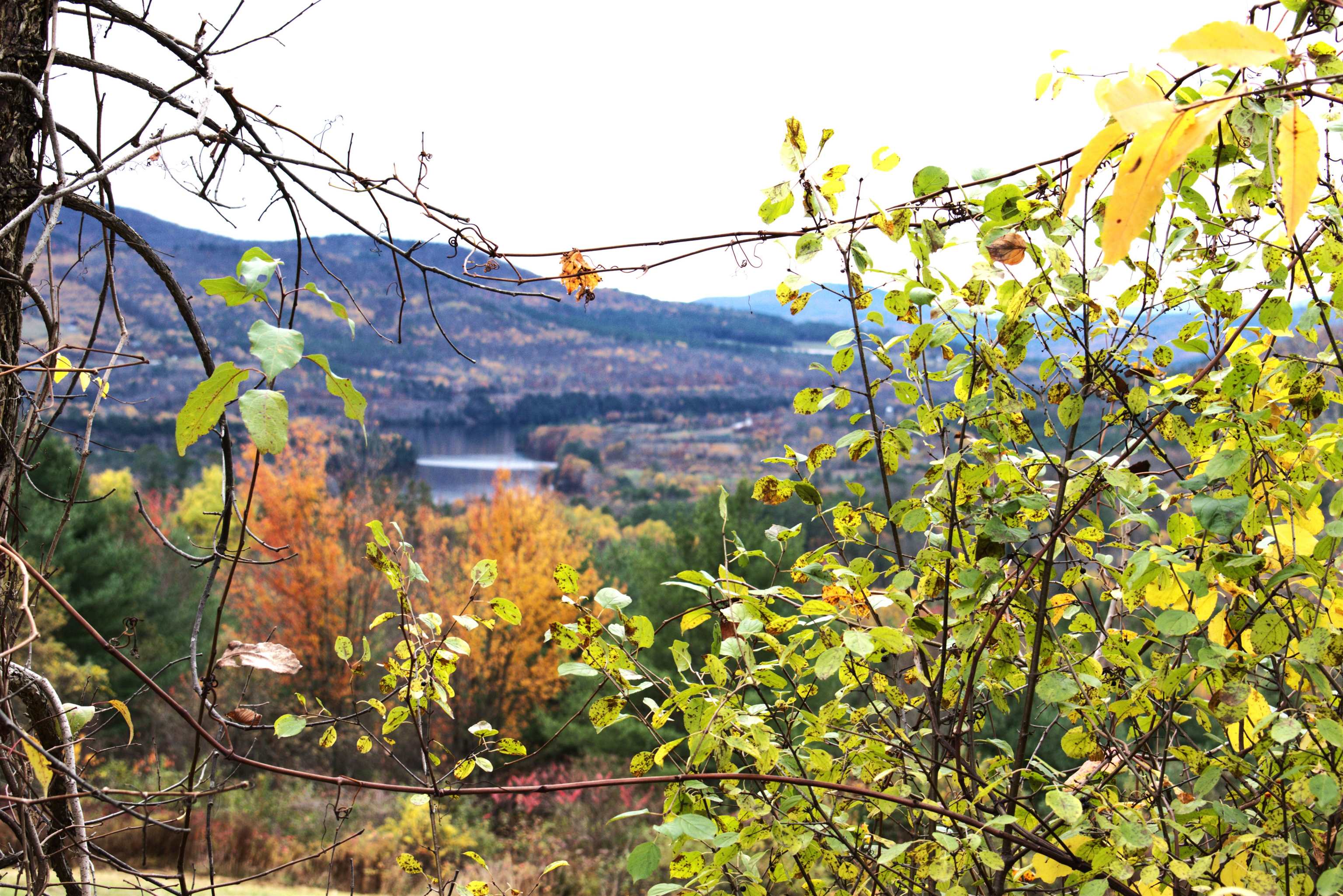 00 Old County South Road