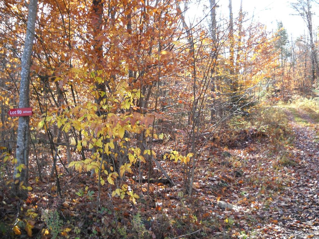 Photo of 1179 NH Route 25A #Lot D, Orford, NH 03777 (MLS # 4975857)