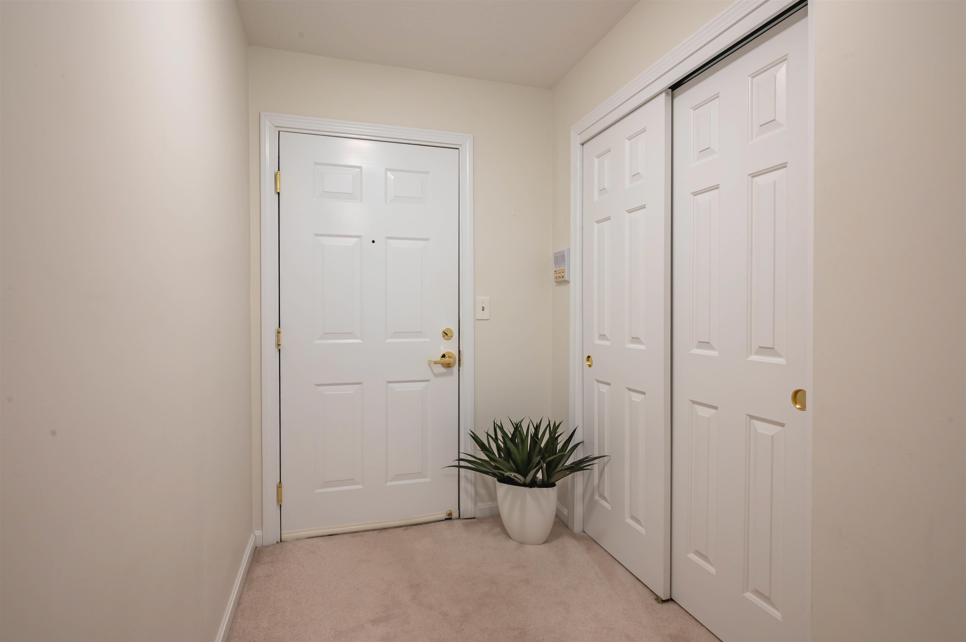 15 Lovell Street 3