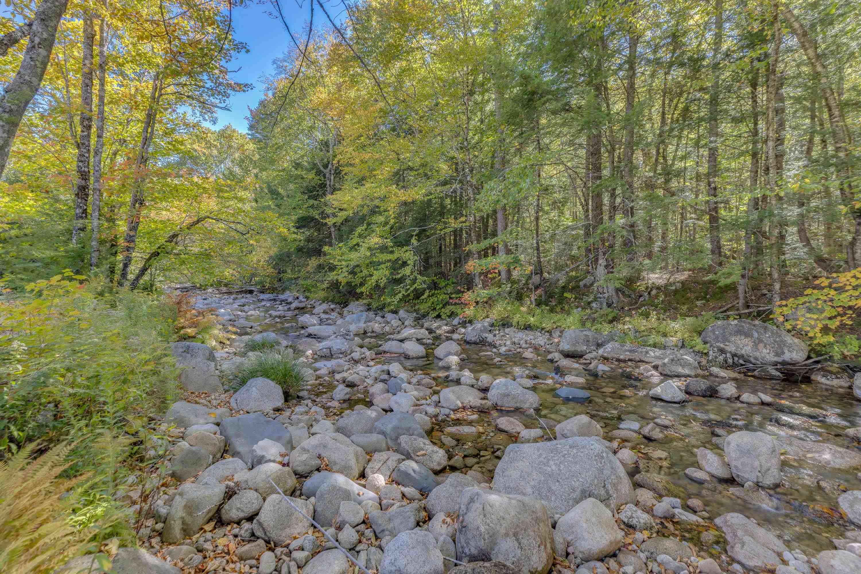 111 W Branch Road 4