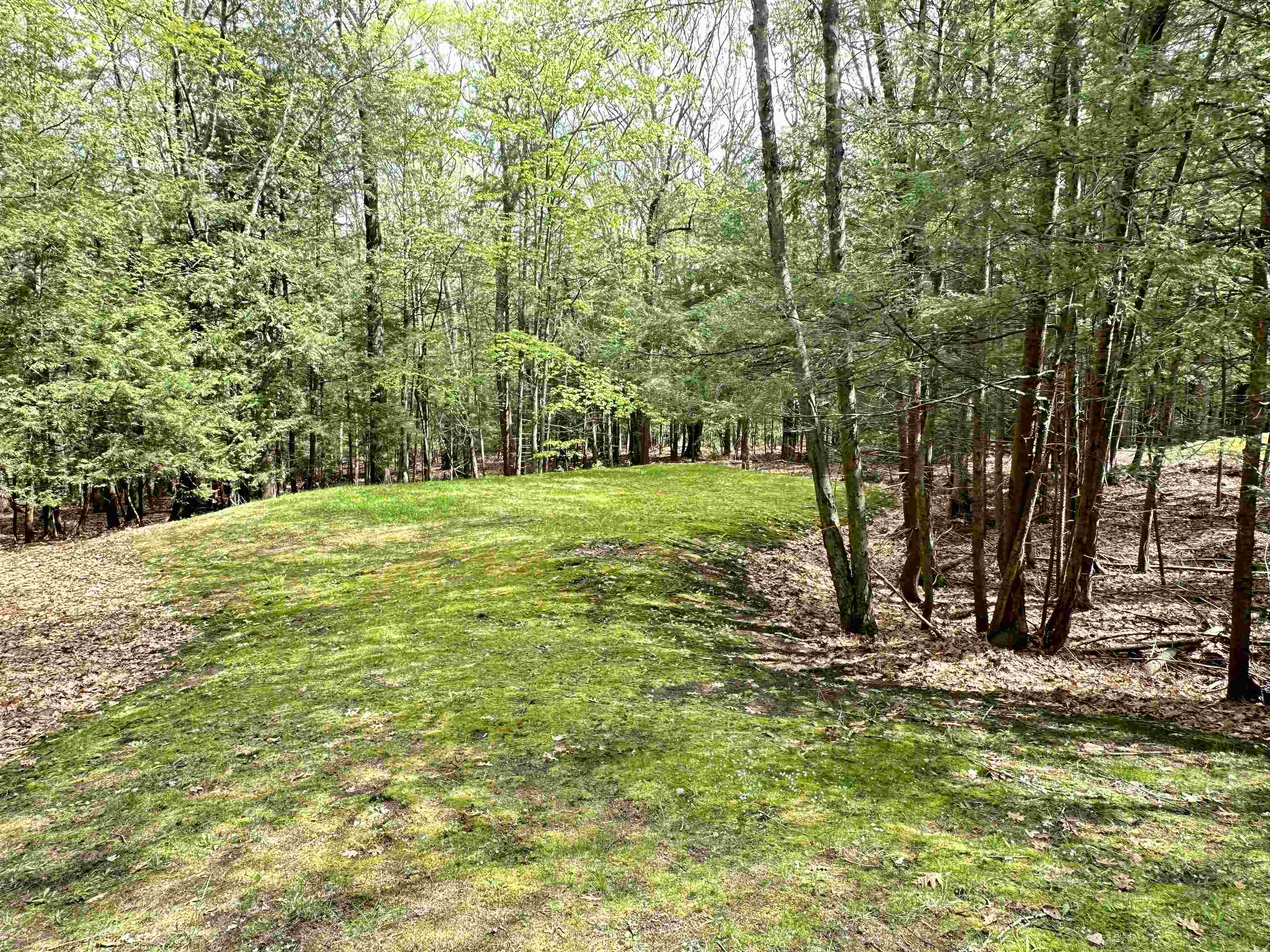 60 Partridgeberry Lane