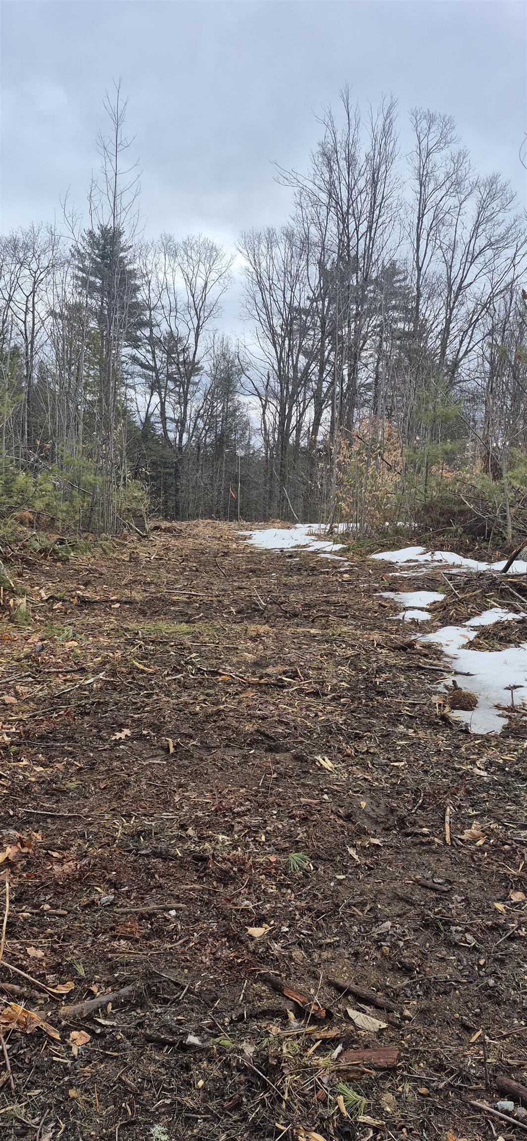 Poverty Plain Road Map 7 Lot 100