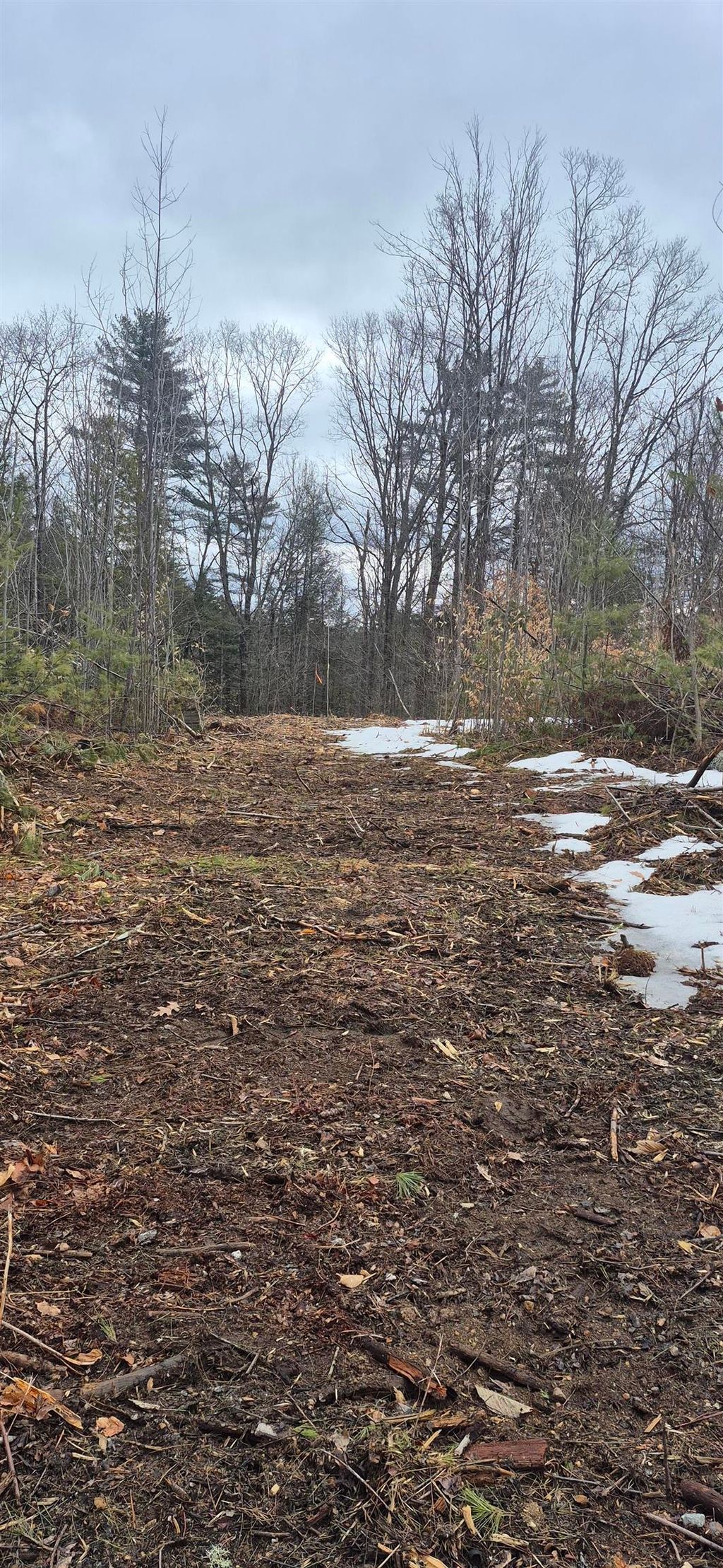 Photo of Poverty Plain Road #Map 7 Lot 100, Hillsborough, NH 03244 (MLS # 5081511)