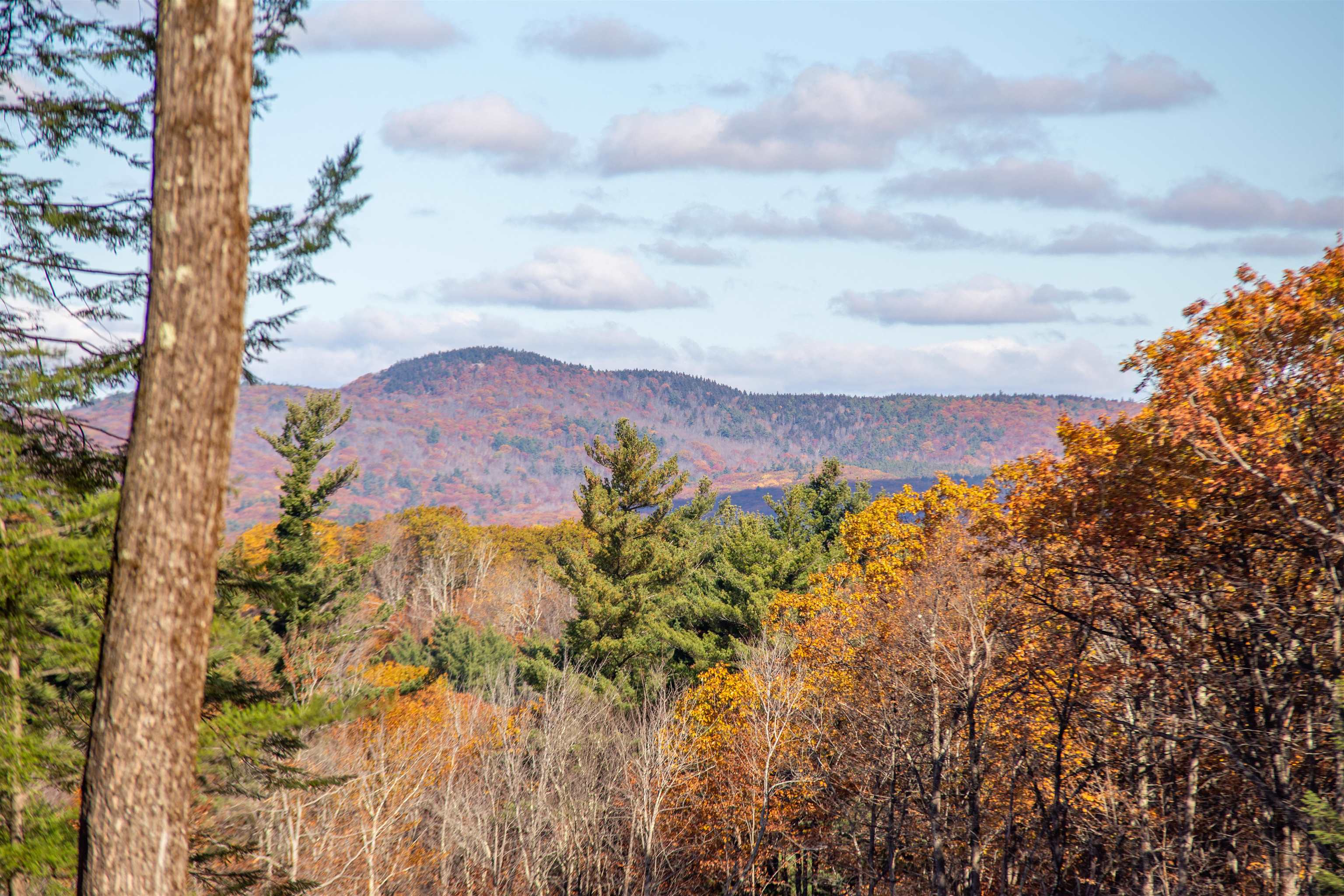 000 Windmill Hill Road