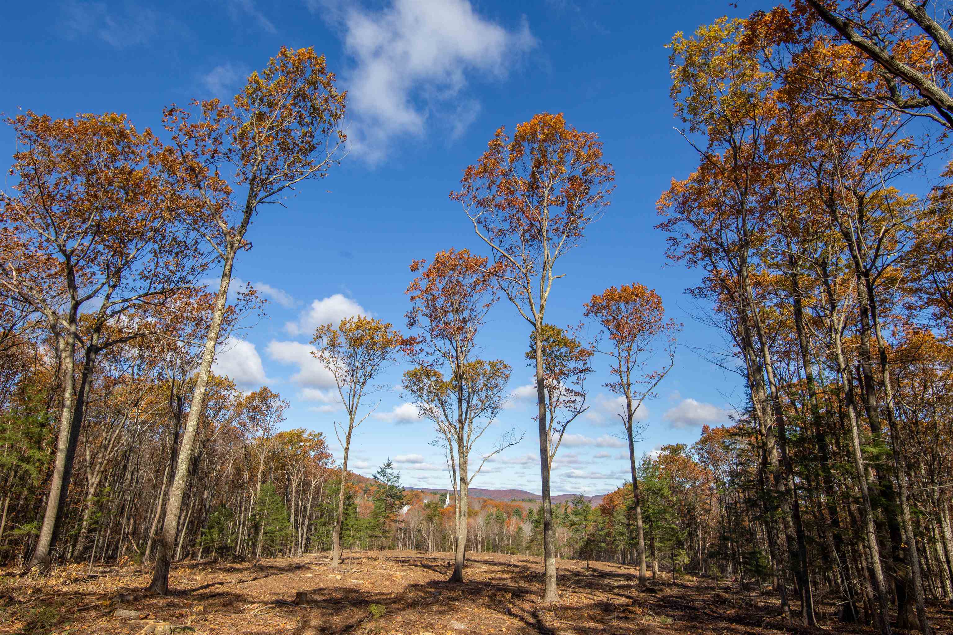 000 Windmill Hill Road