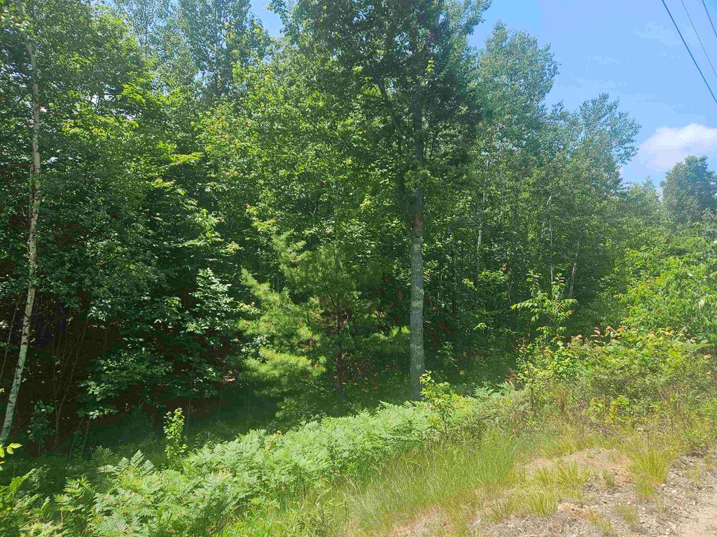 Photo of 9 Lady Slipper Lane, Moultonborough, NH 03254 (MLS # 5033505)
