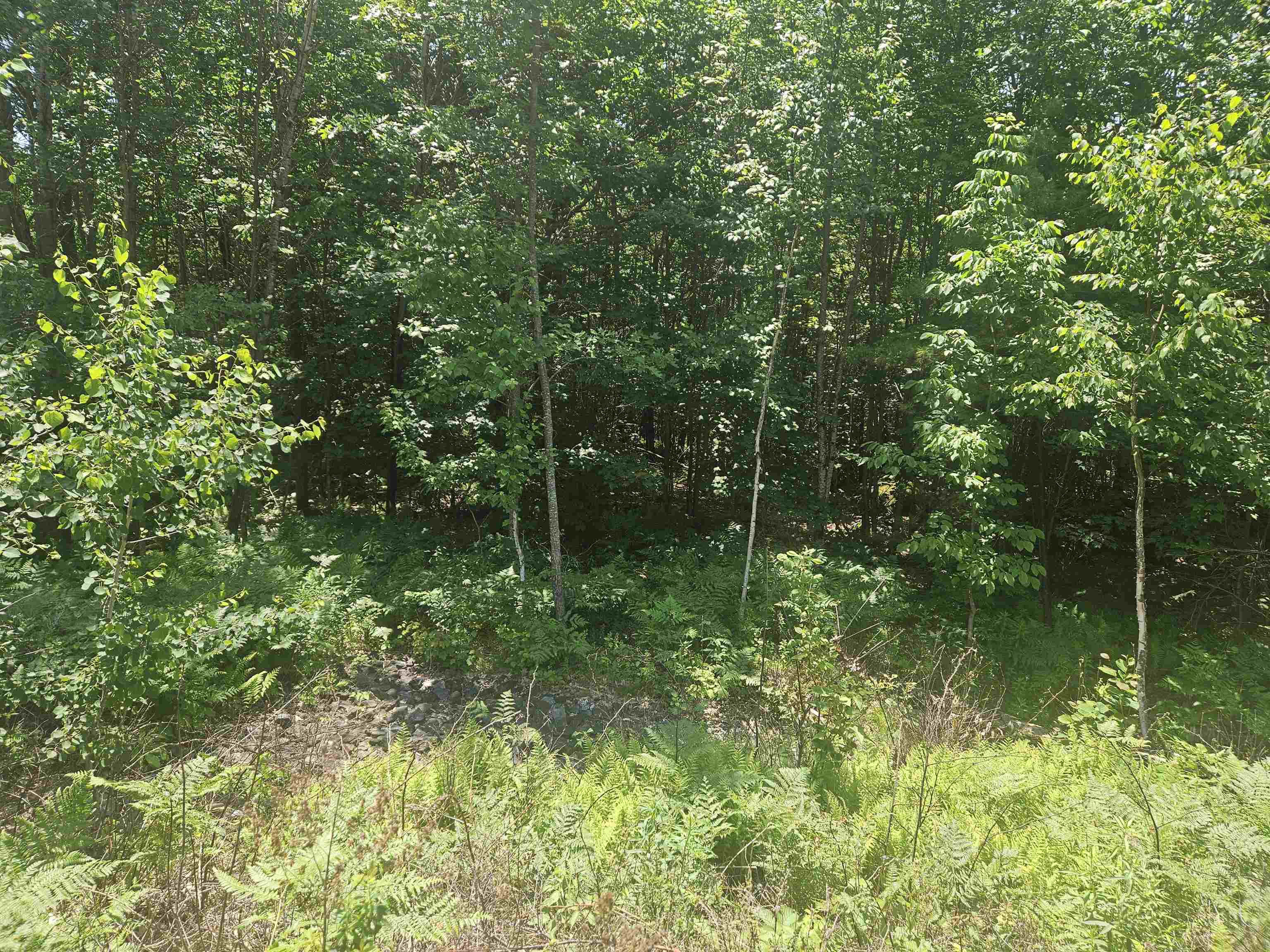9 Lady Slipper Lane