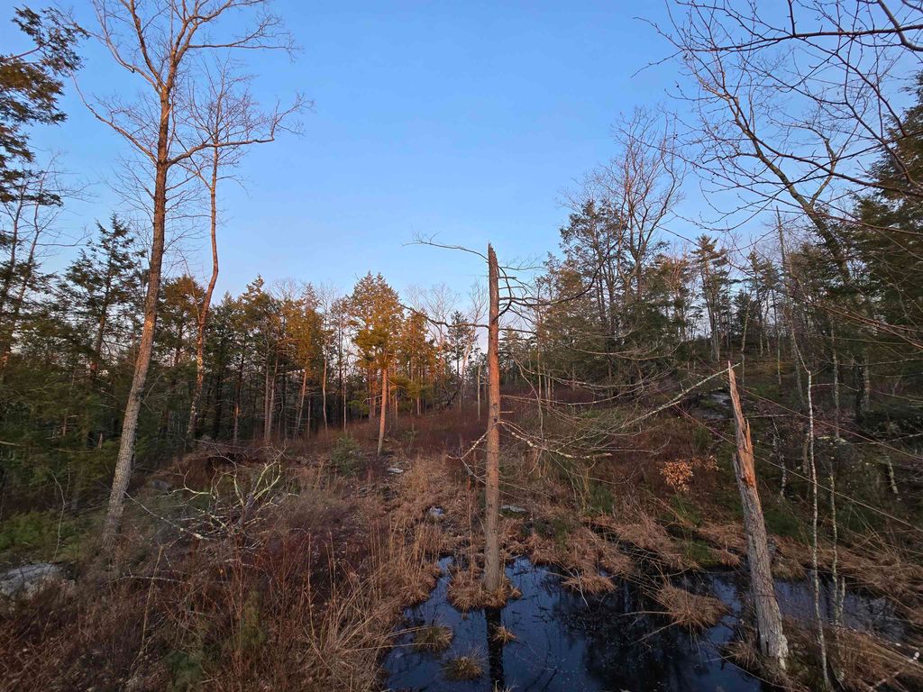Photo of 104 Berry River Road #2 lots, Barrington, NH 03825 (MLS # 5084437)