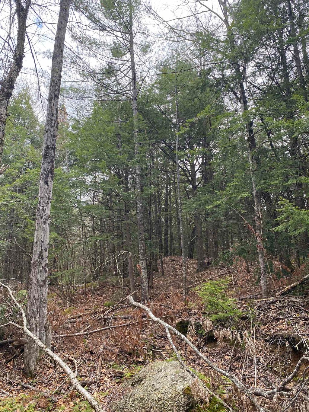 Photo of 0 Corrigan Way, Windsor, NH 03244 (MLS # 5084543)