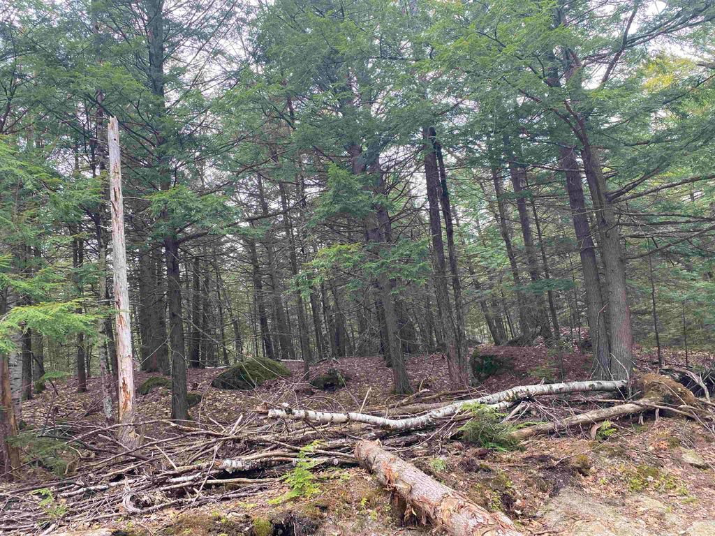 Photo of 0 Corrigan Way, Windsor, NH 03244 (MLS # 5084543)
