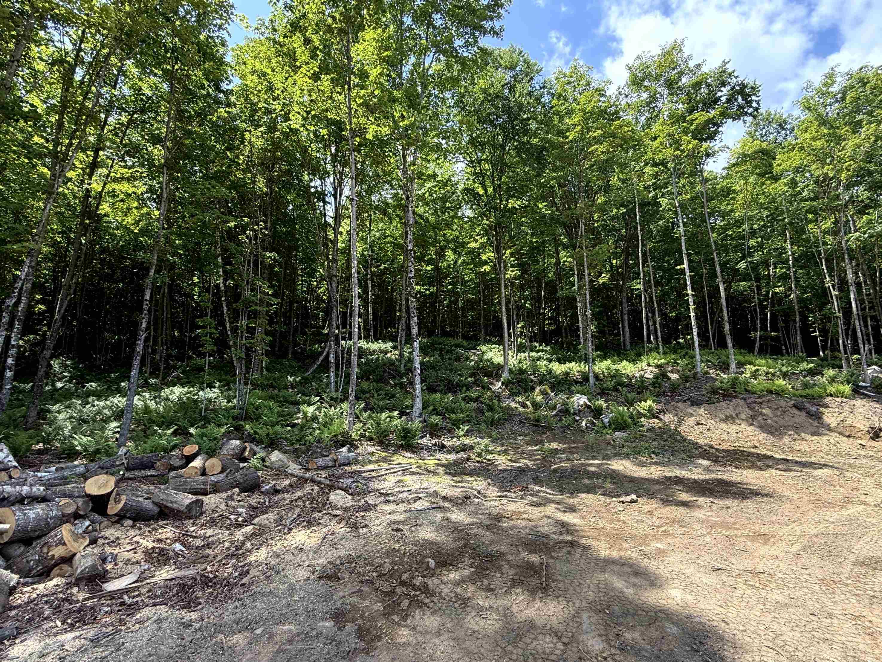 - Foliage Lane Lot 1B