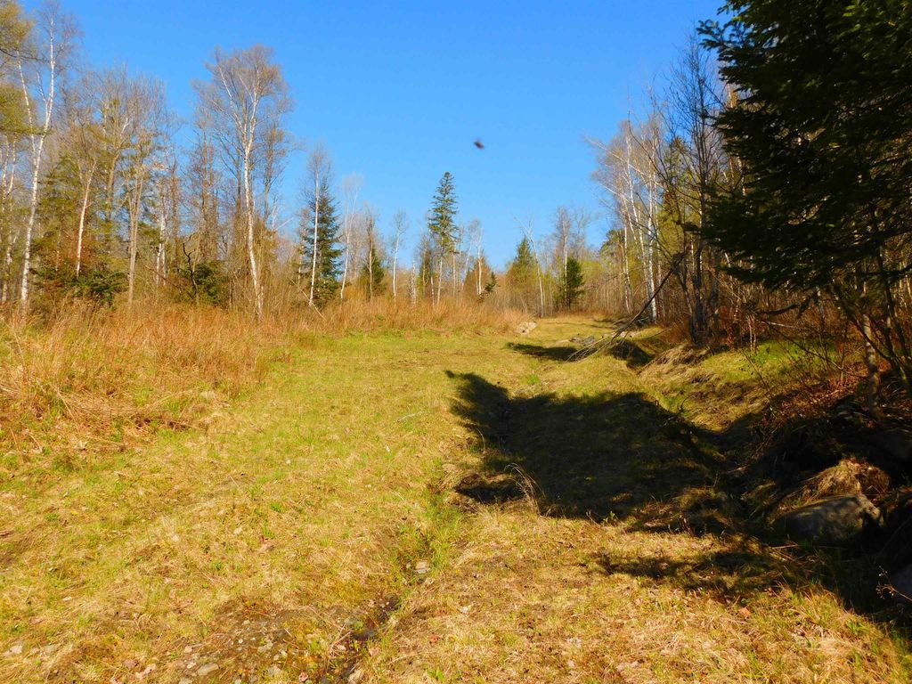 Photo of 0 Piper Hill Road, Colebrook, NH 03576 (MLS # 5071364)