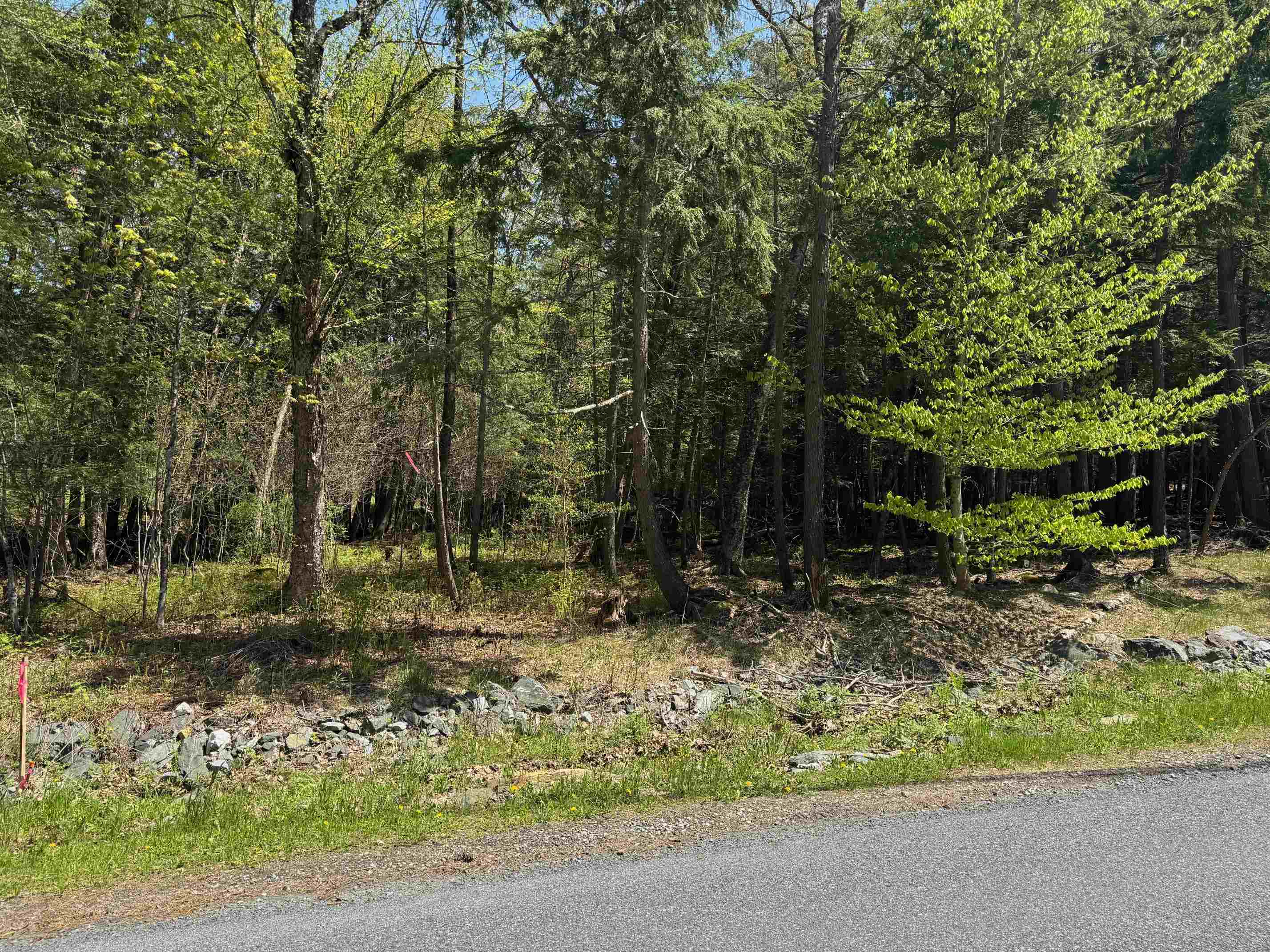 169 Slayton Hill