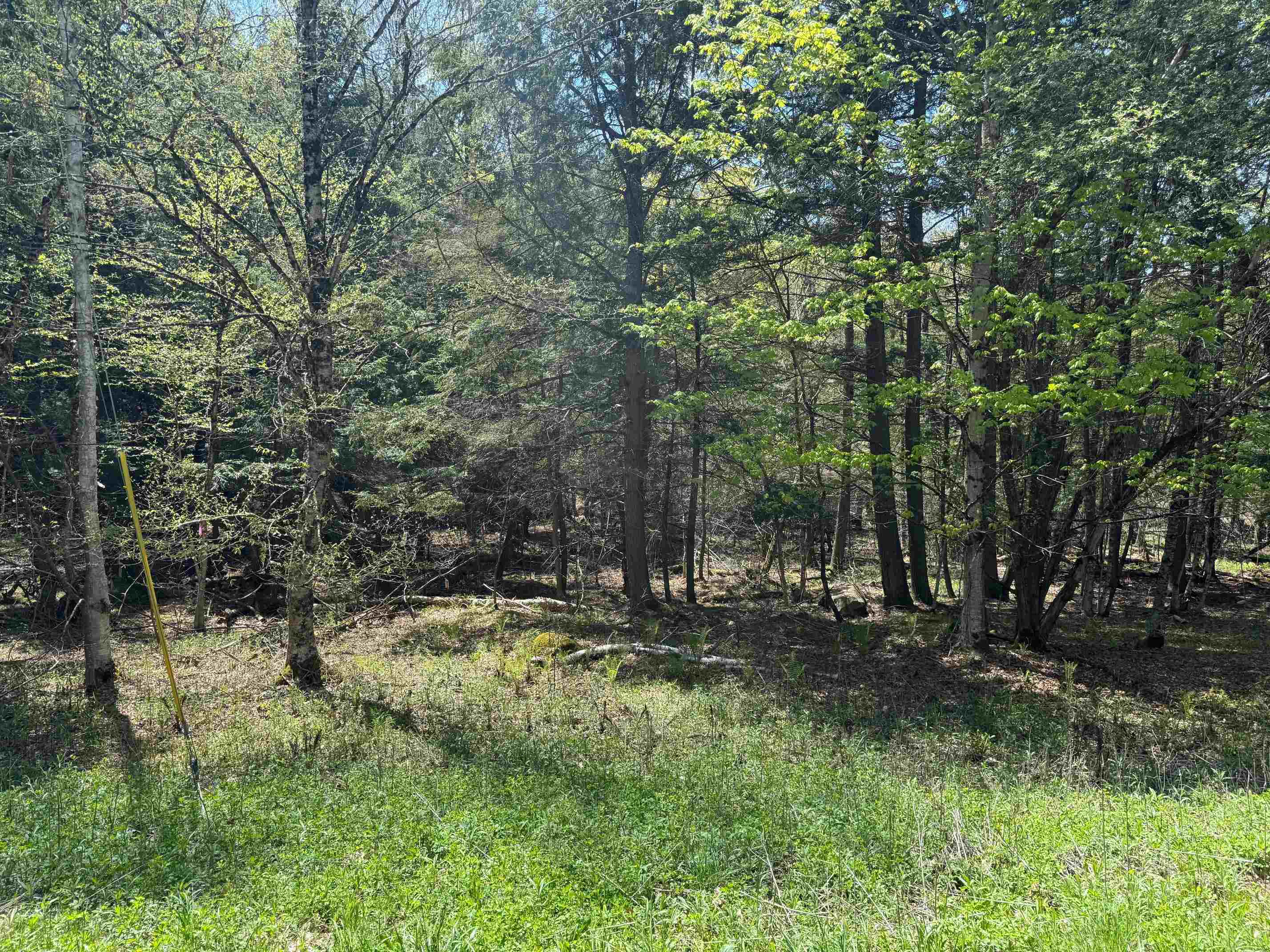 169 Slayton Hill