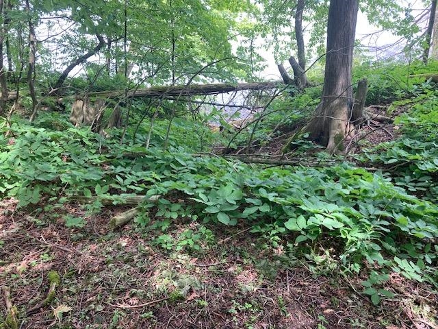 3125 Butler Island East