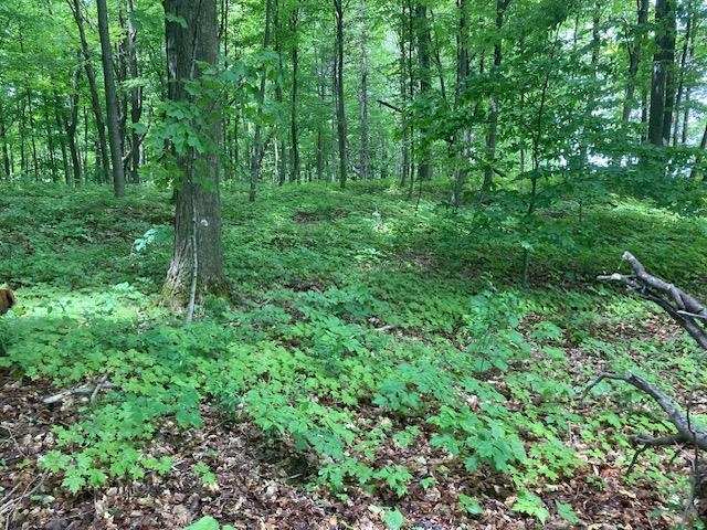 3125 Butler Island East