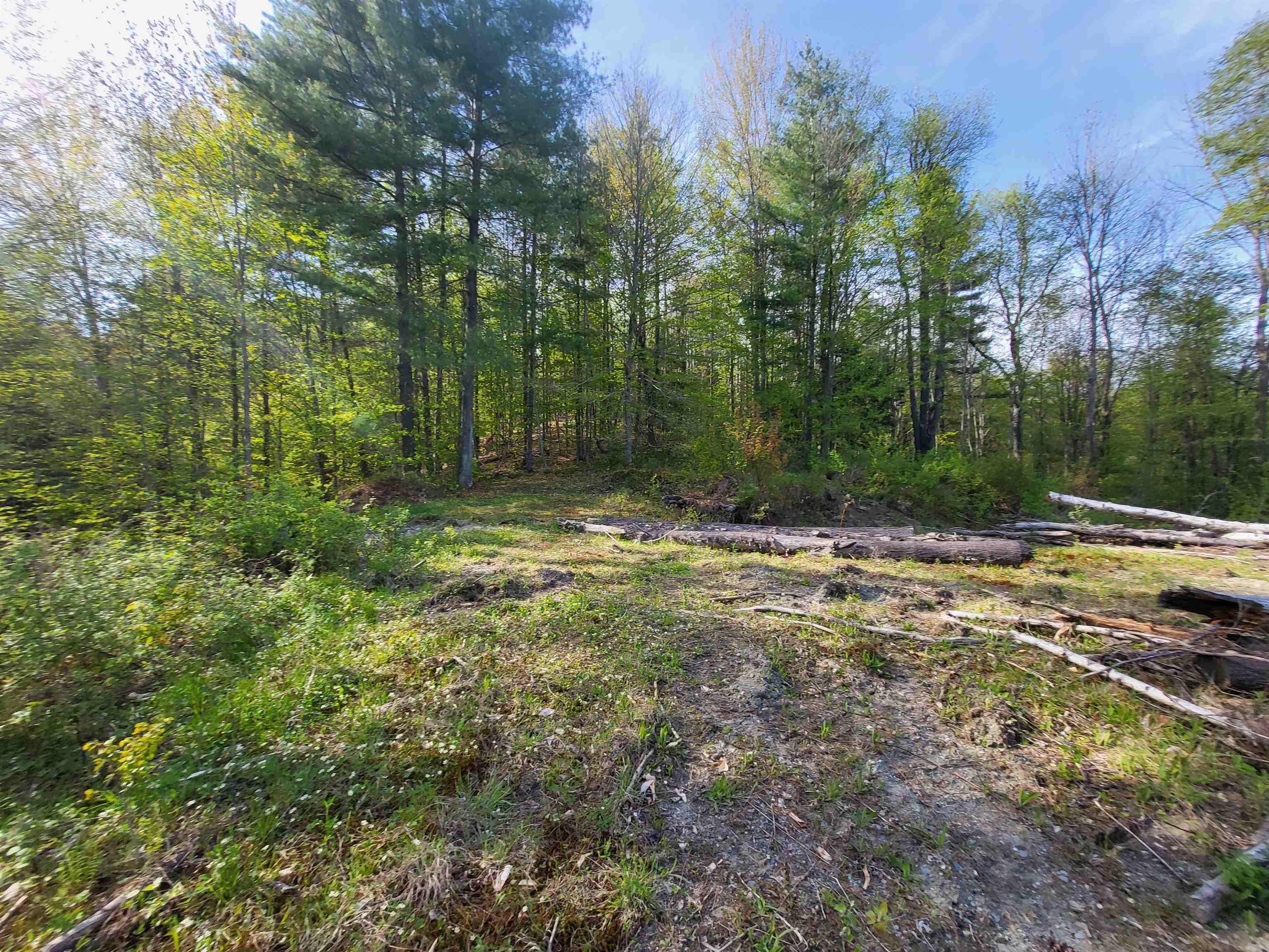 Northfield, Vermont 05663, United States, ,Land,Active,88560