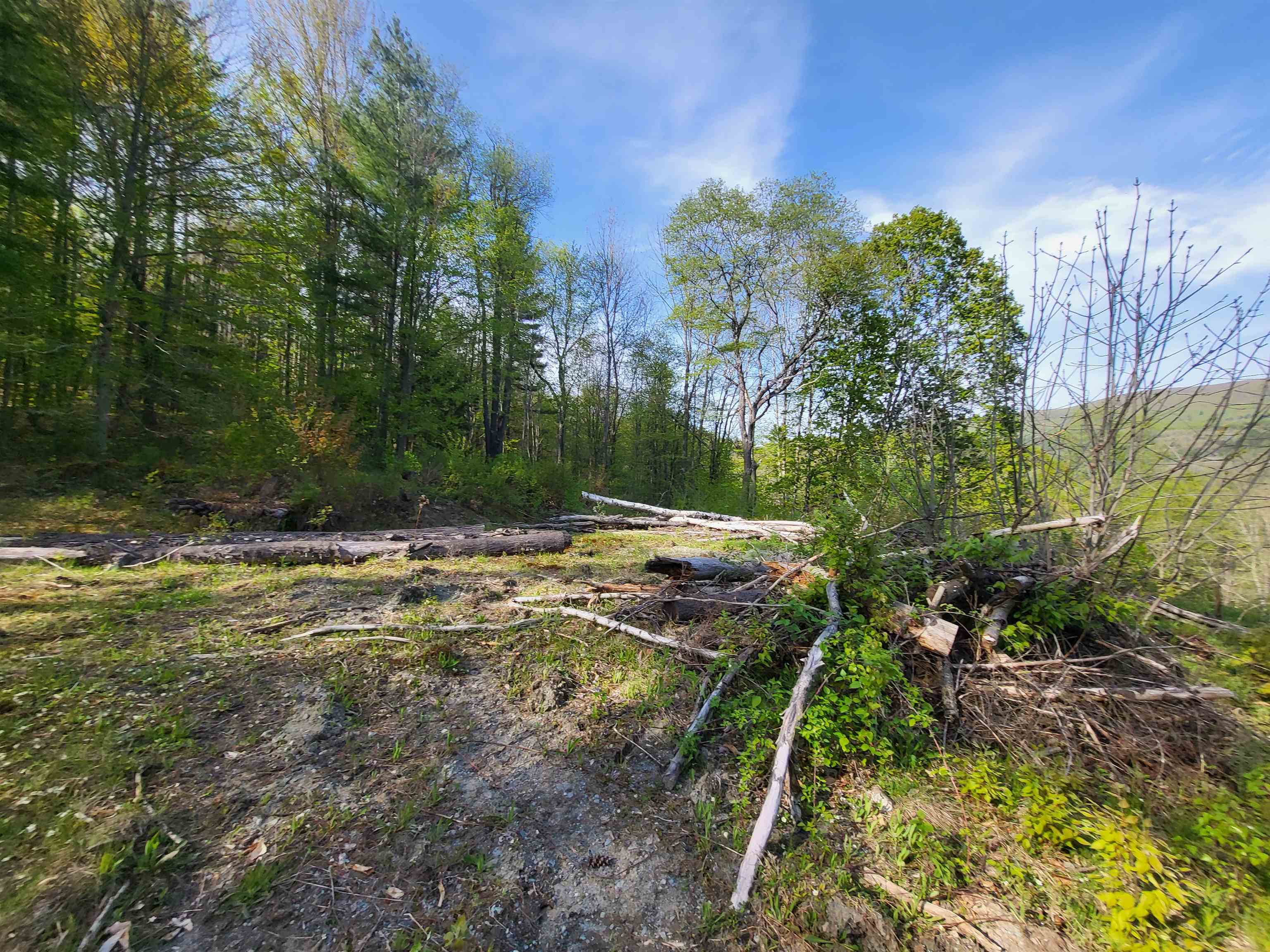 Northfield, Vermont 05663, United States, ,Land,Active,88560