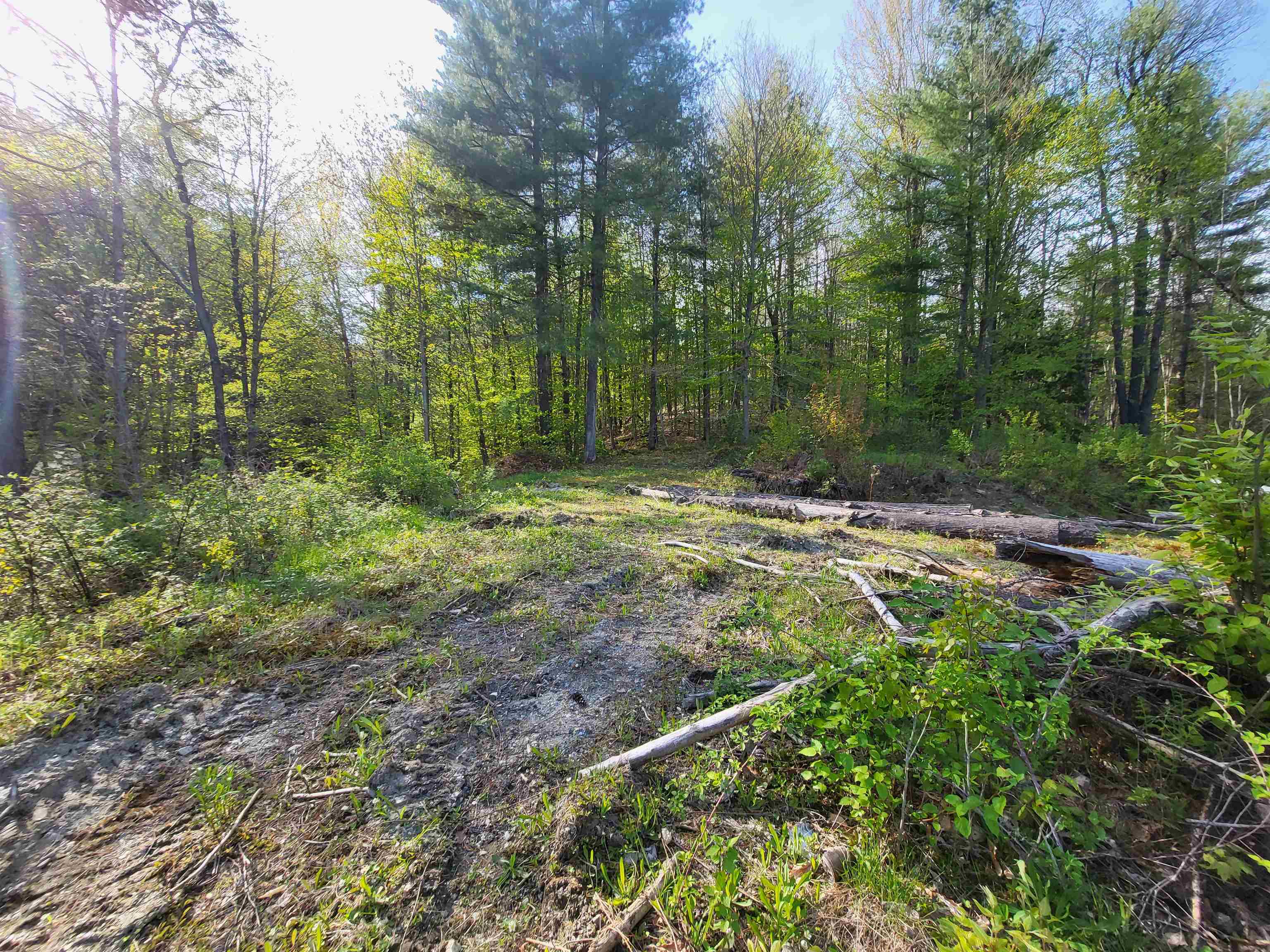 Northfield, Vermont 05663, United States, ,Land,Active,88560