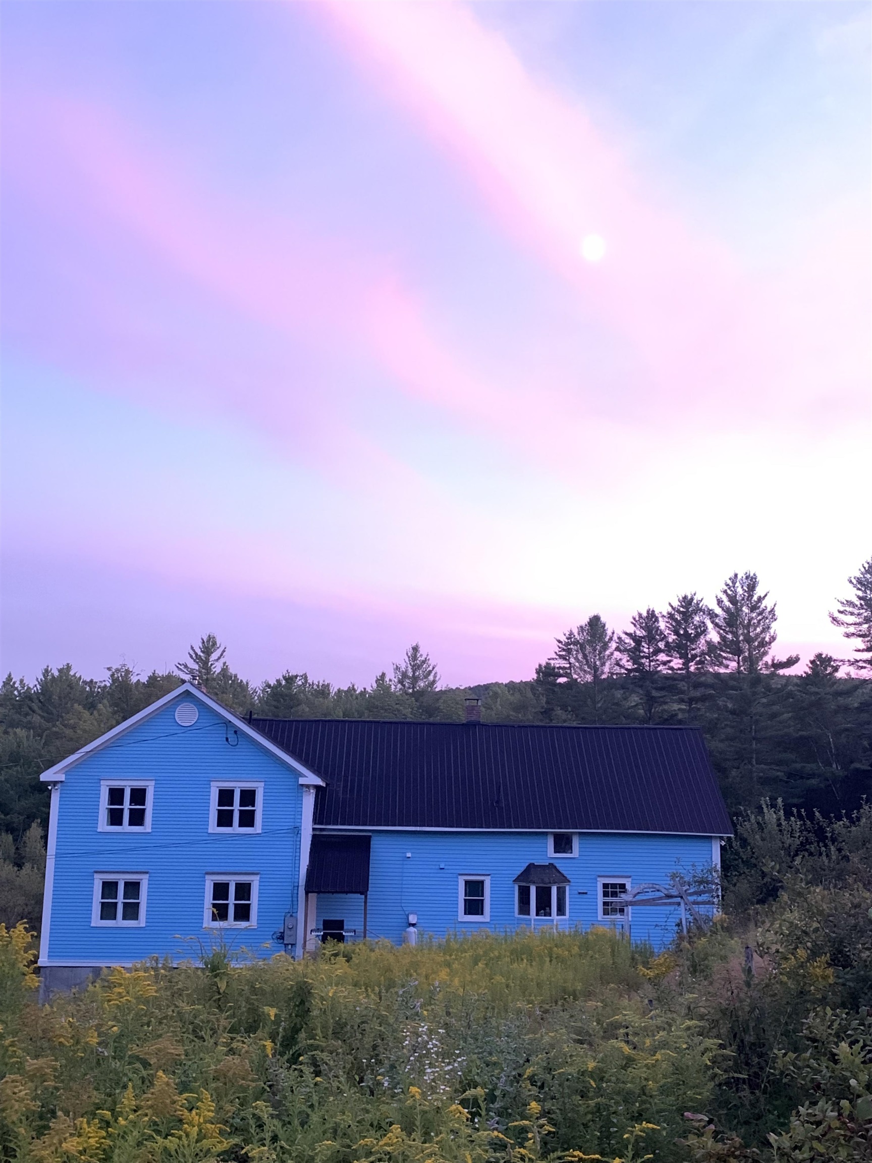 42 Blackberry Lane