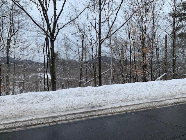 Lot 4-28 & 4-32 2nd NH Turnpike