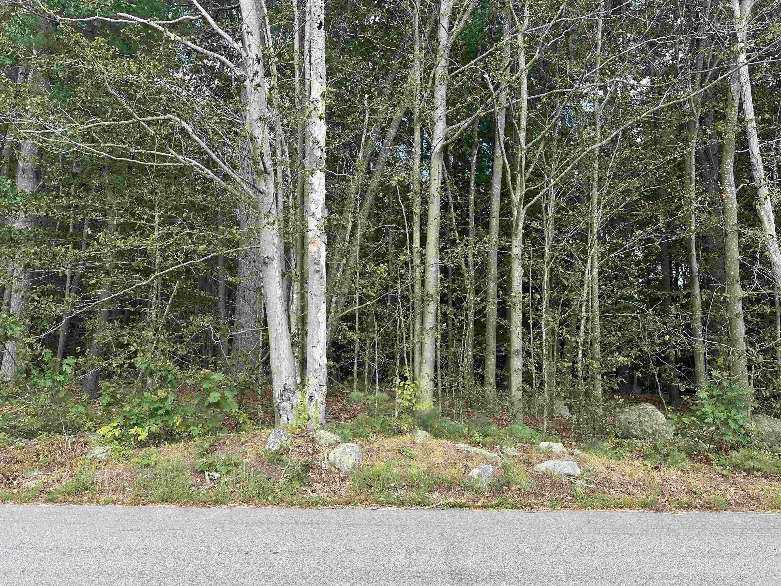 119-7 Map 119 Lot 7 Timber Swamp Road