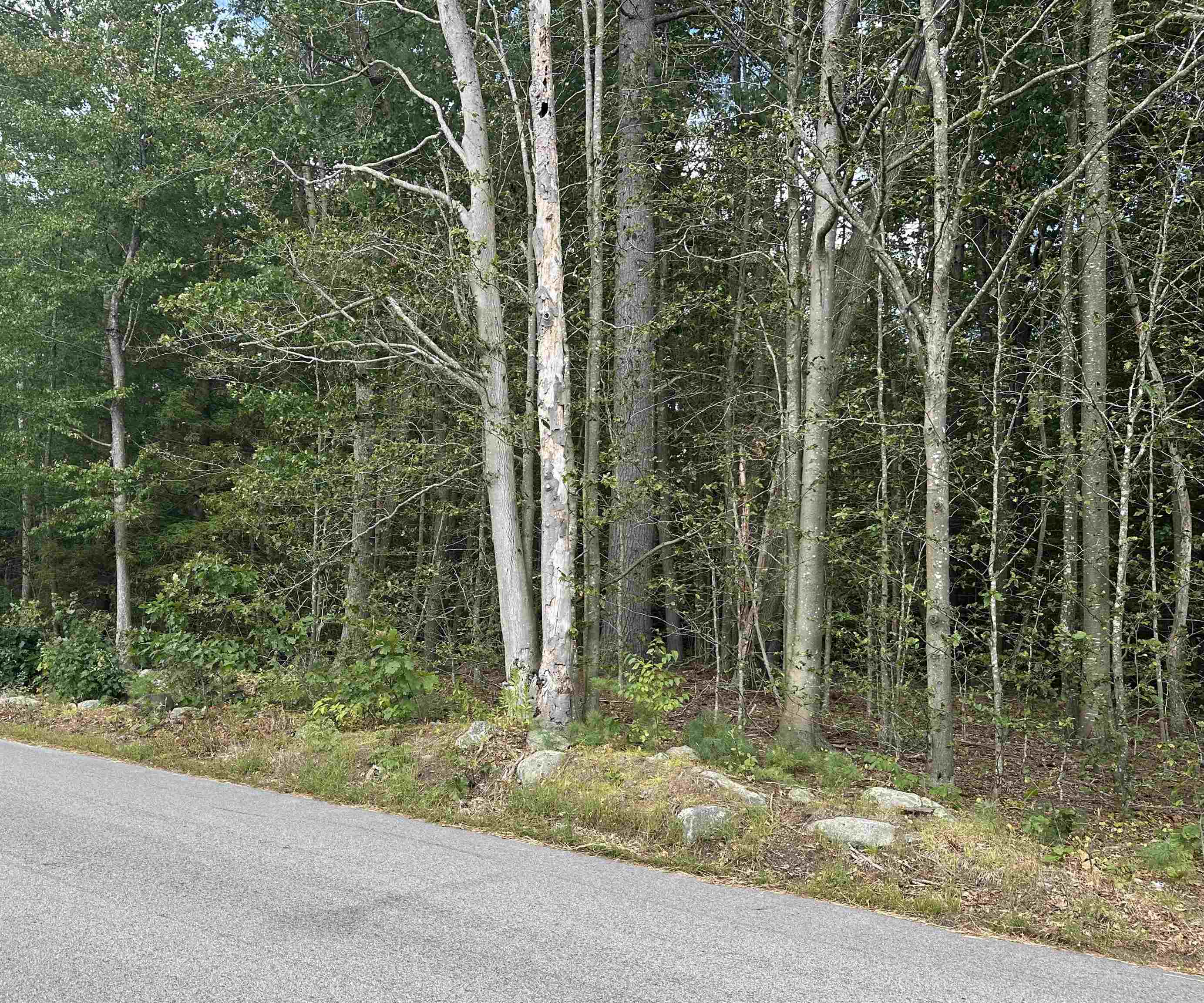 119-7 Map 119 Lot 7 Timber Swamp Road