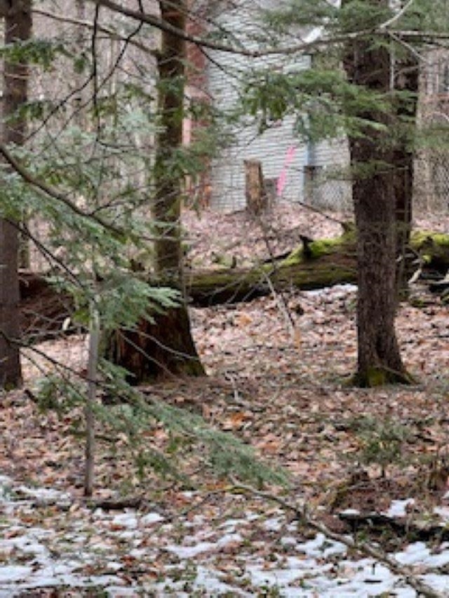 11-6 Clothespin Bridge Road