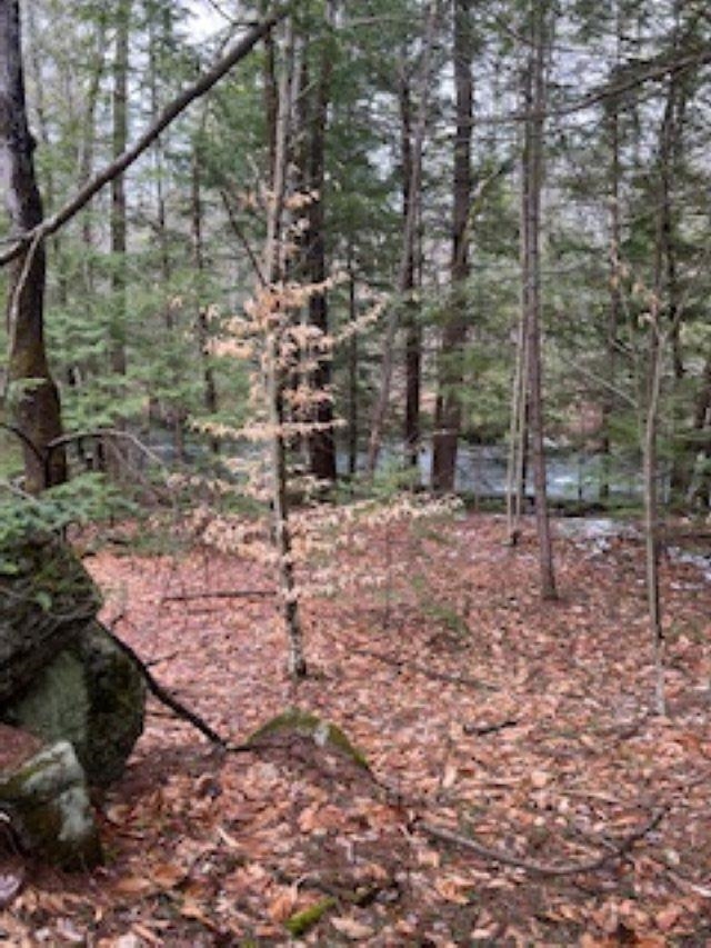 11-6 Clothespin Bridge Road