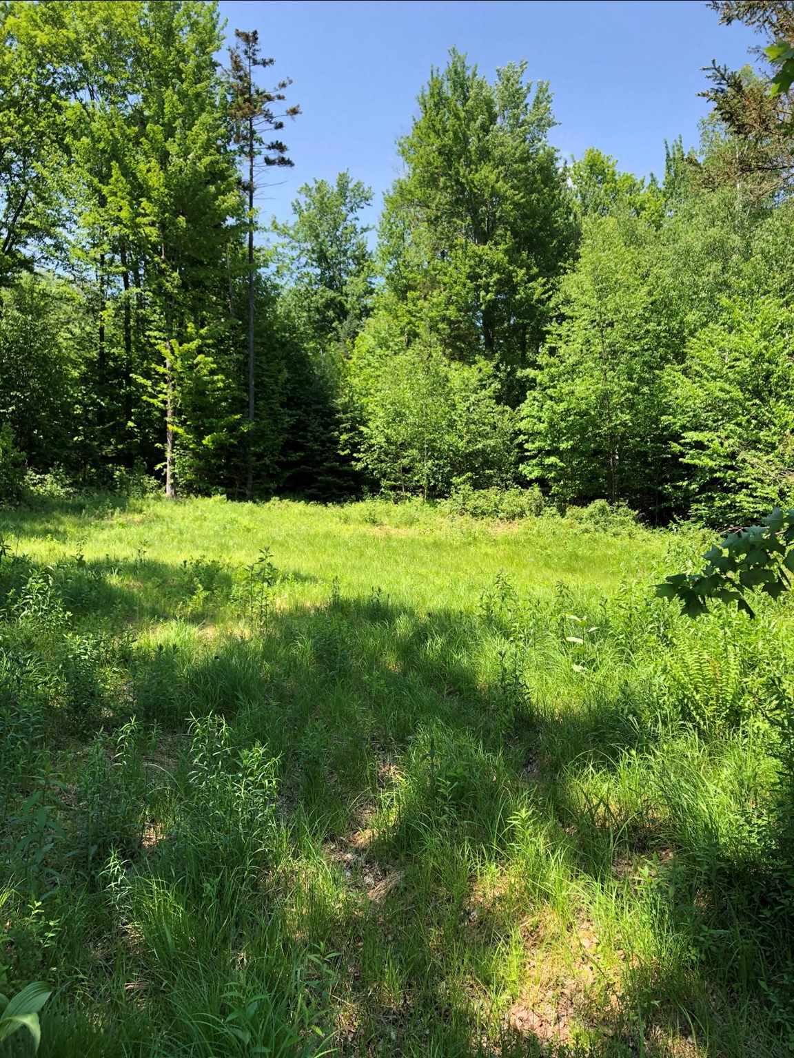 VT Route 109 Lot 3