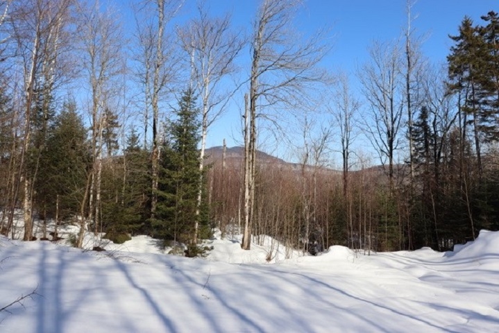 VT Route 109 Lot 3