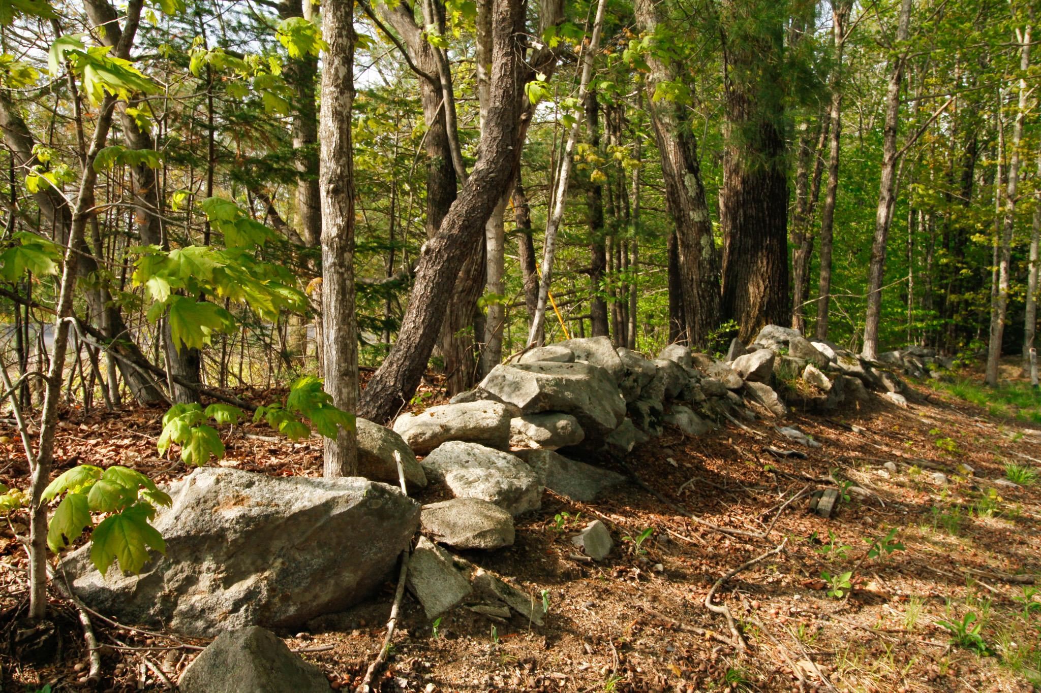 224 Lot 20 Elijah Beede Road