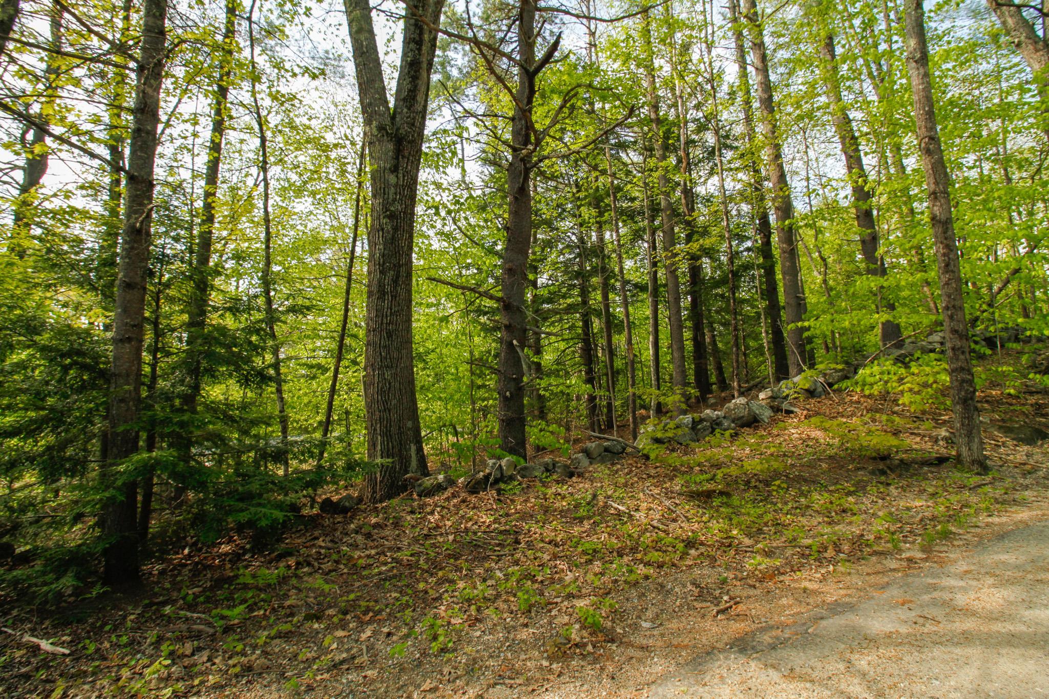 224 Lot 20 Elijah Beede Road
