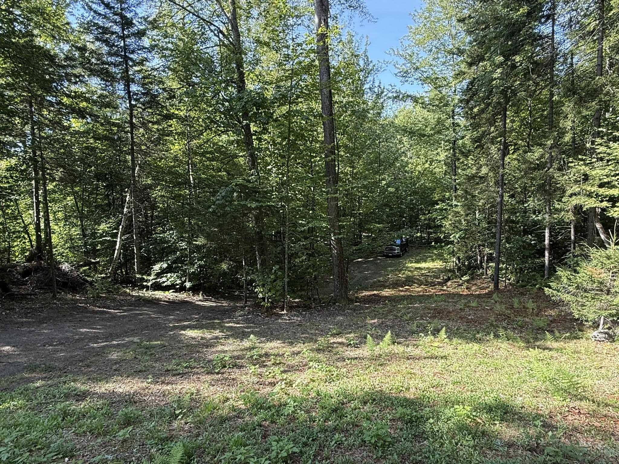 (TR #18) Old Woodbury Mountain Road