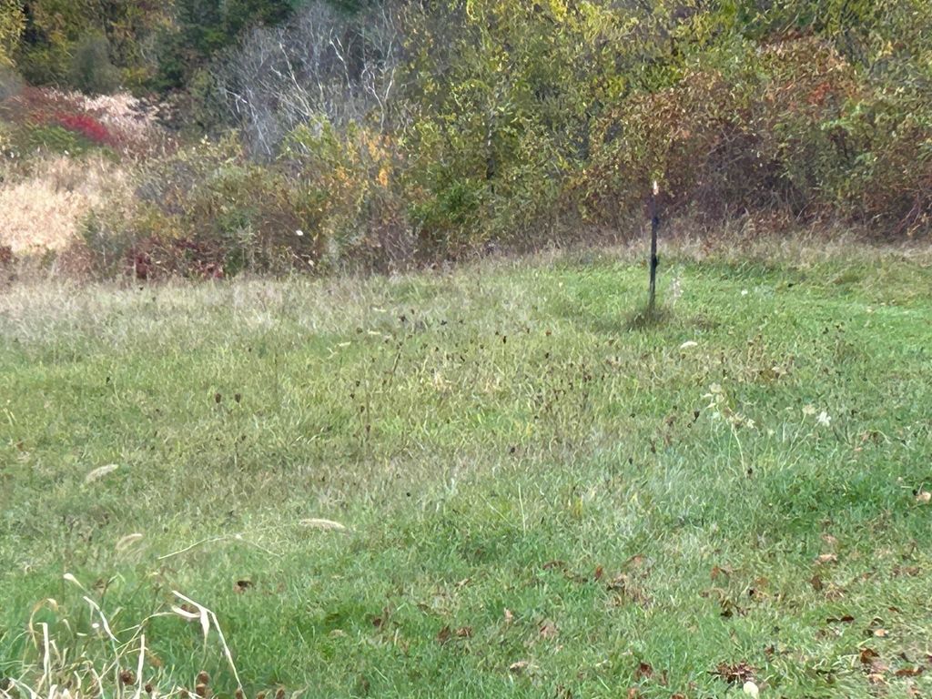 Photo of 182 Drinkwater Road, Kensington, NH 03833 (MLS # 5071960)