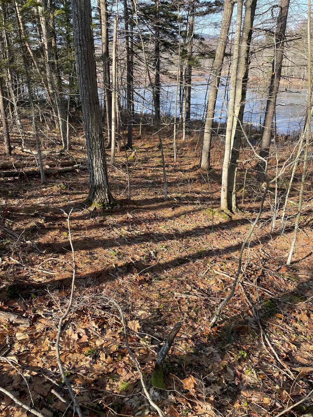 Photo of 0 Windmill Hill Road, Dublin, NH 03444 (MLS # 5080204)