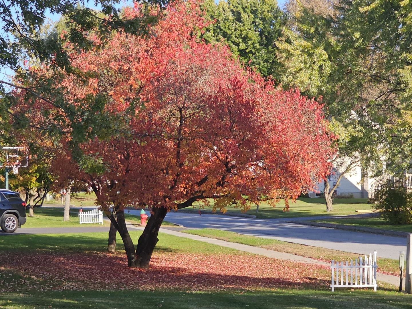 Vergennes, Vermont 05491, United States, 3 Bedrooms Bedrooms, ,2 BathroomsBathrooms,Residential,Pending,29046
