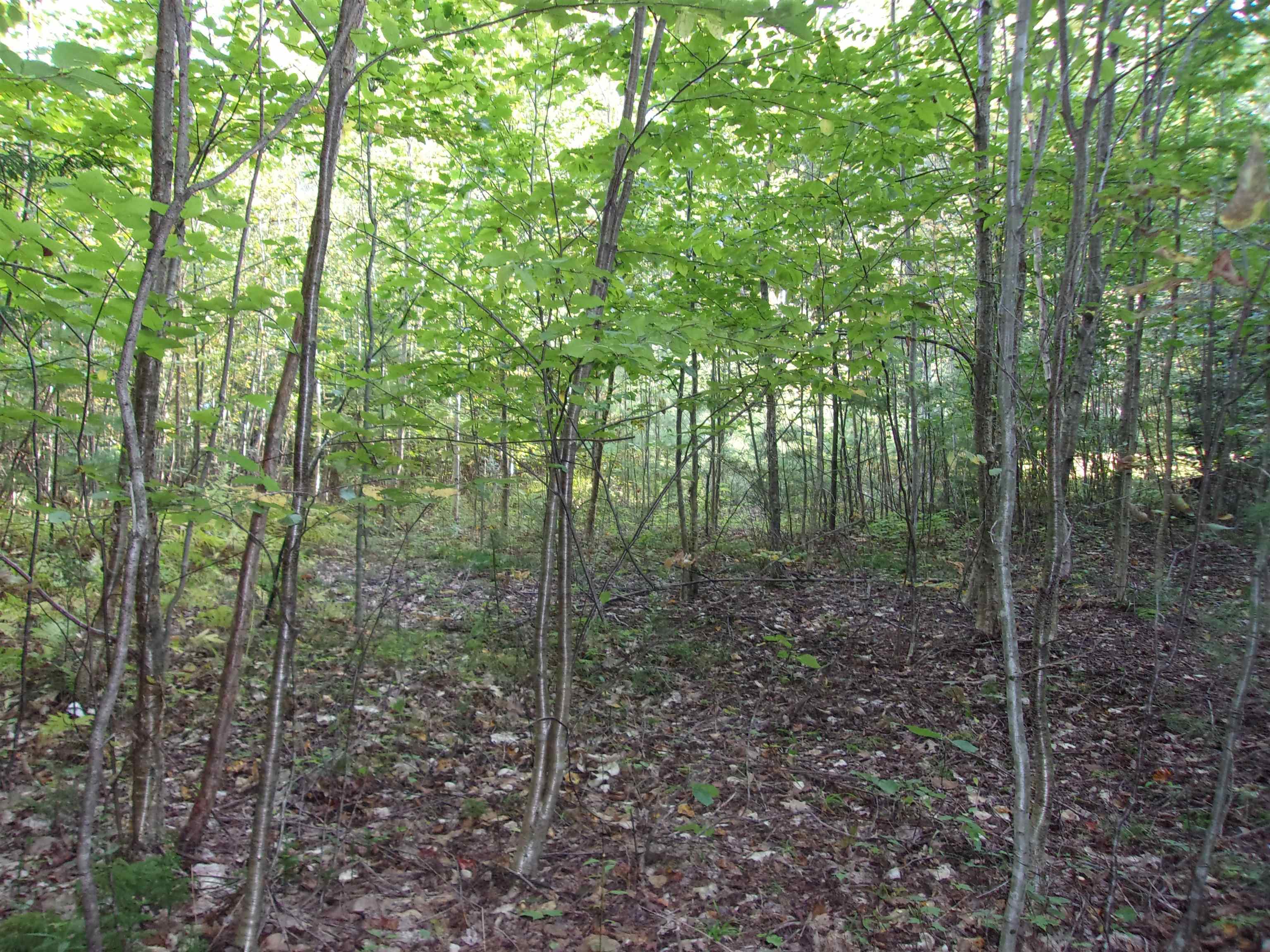Fenn Way Circle 31