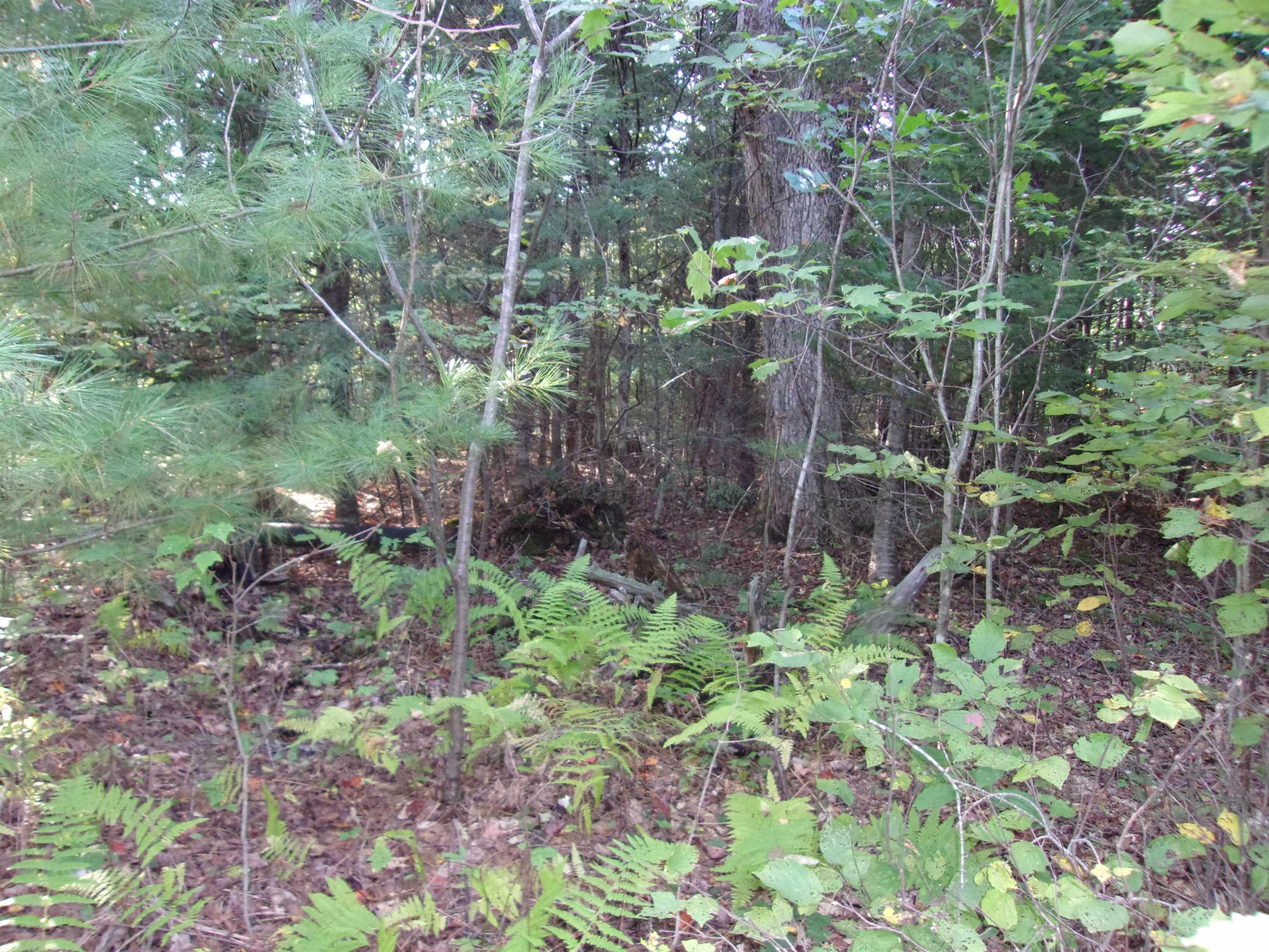Fenn Way Circle 31