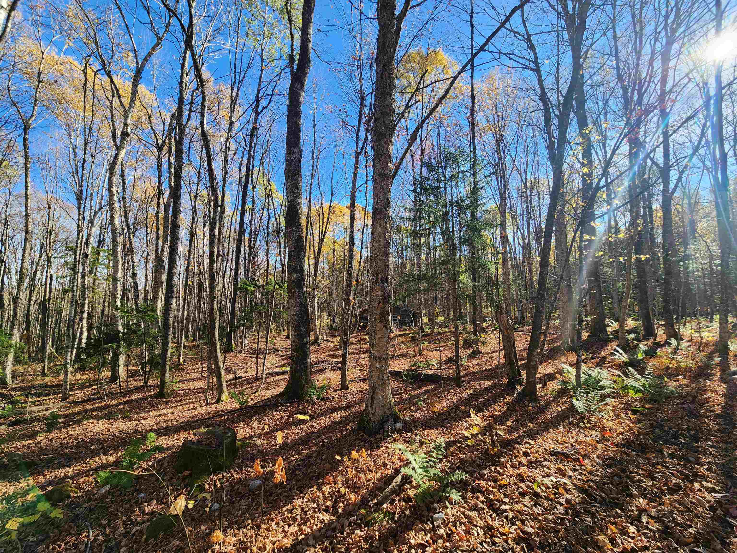 2098 Kinney Hill Road