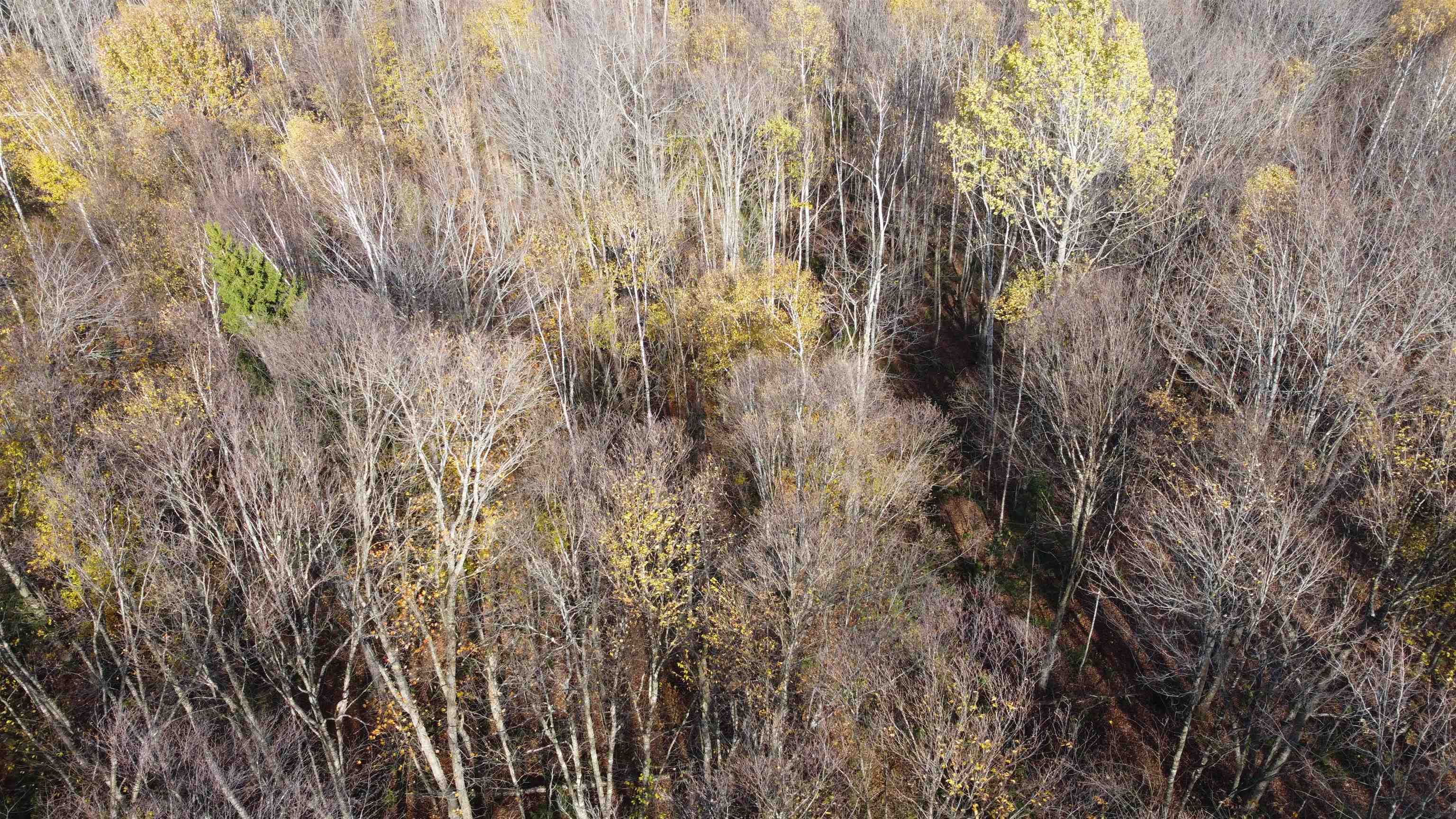 2098 Kinney Hill Road